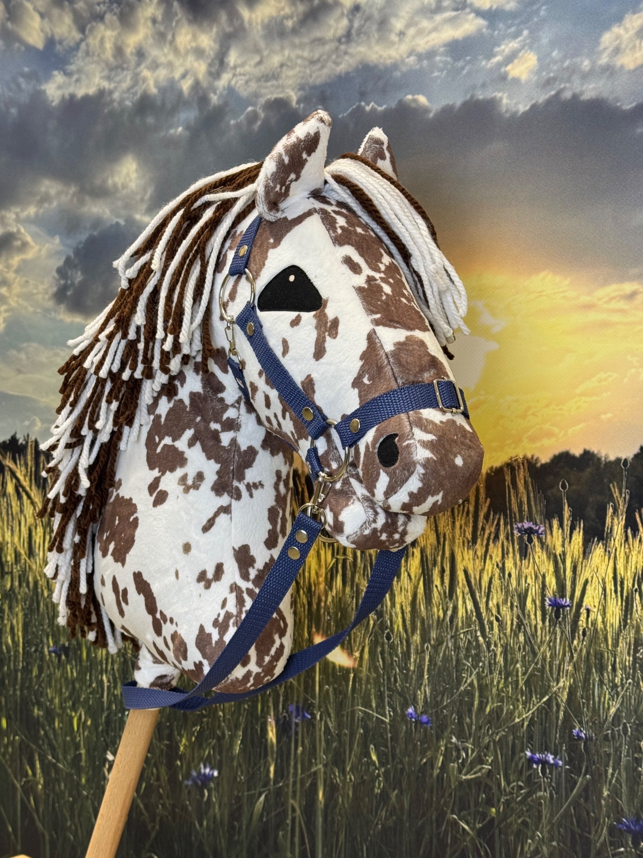 A3 Hobby horse artistic Pinto white – KHT AURORA