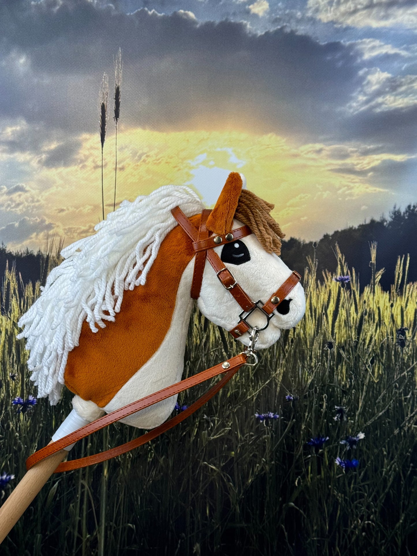 6e5c78ec5bac25520260bb087998072a