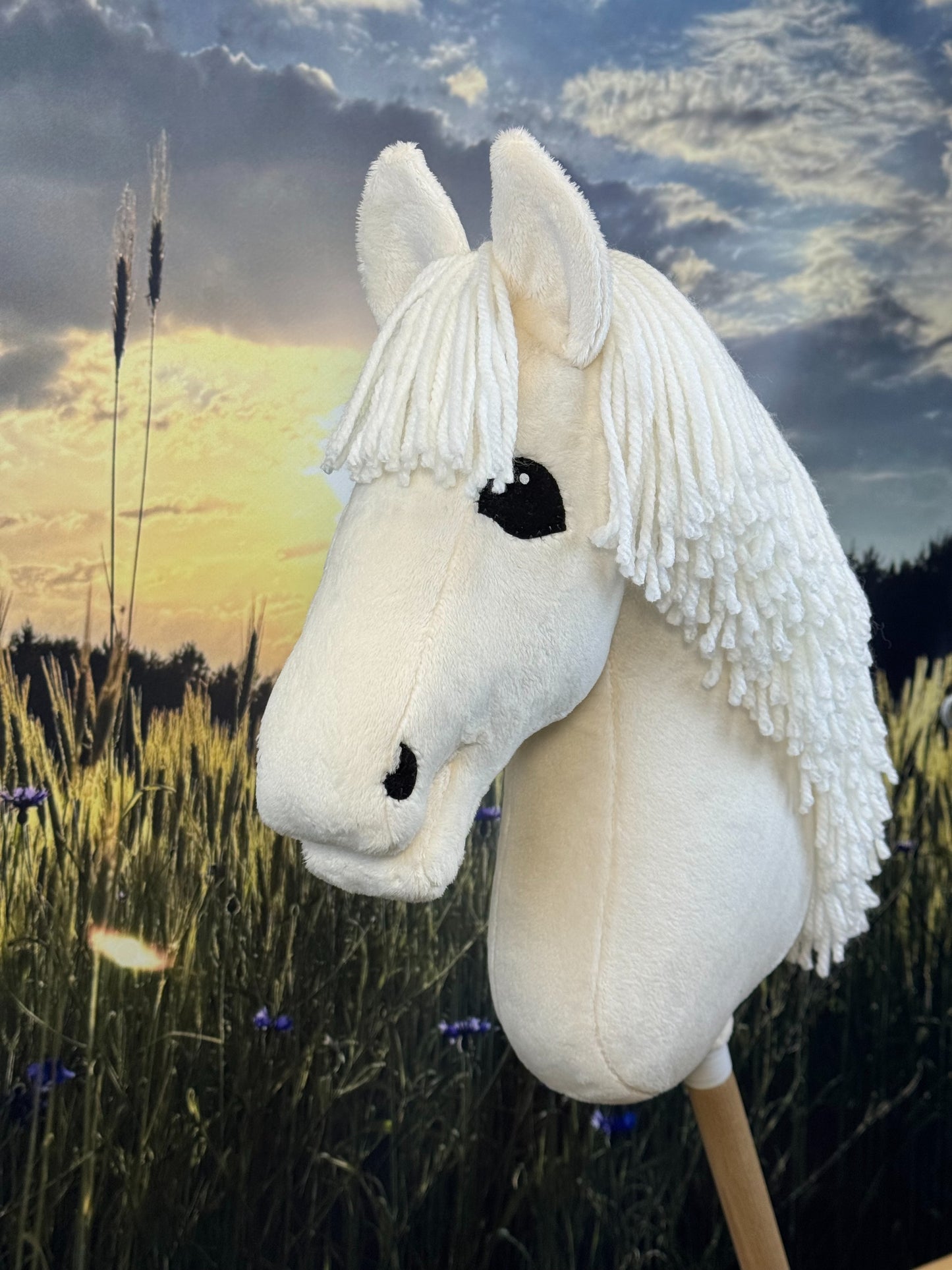 2ec4e6217ae942bace6e78f8280415eb