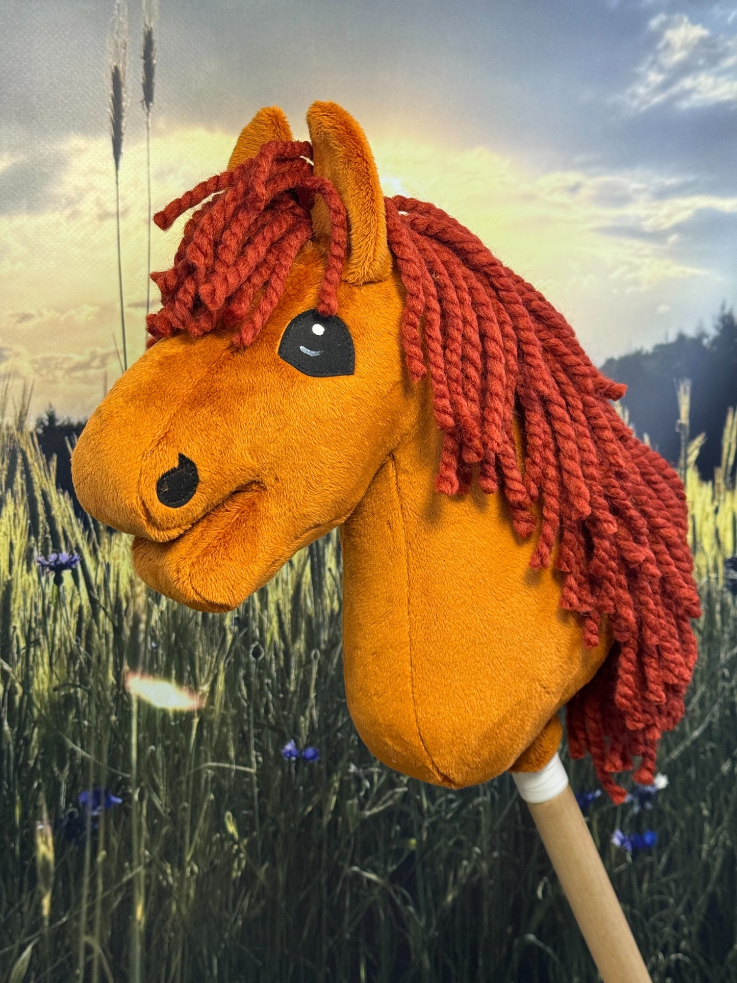 11949cb73c42f6dd6f278b61638a02f7