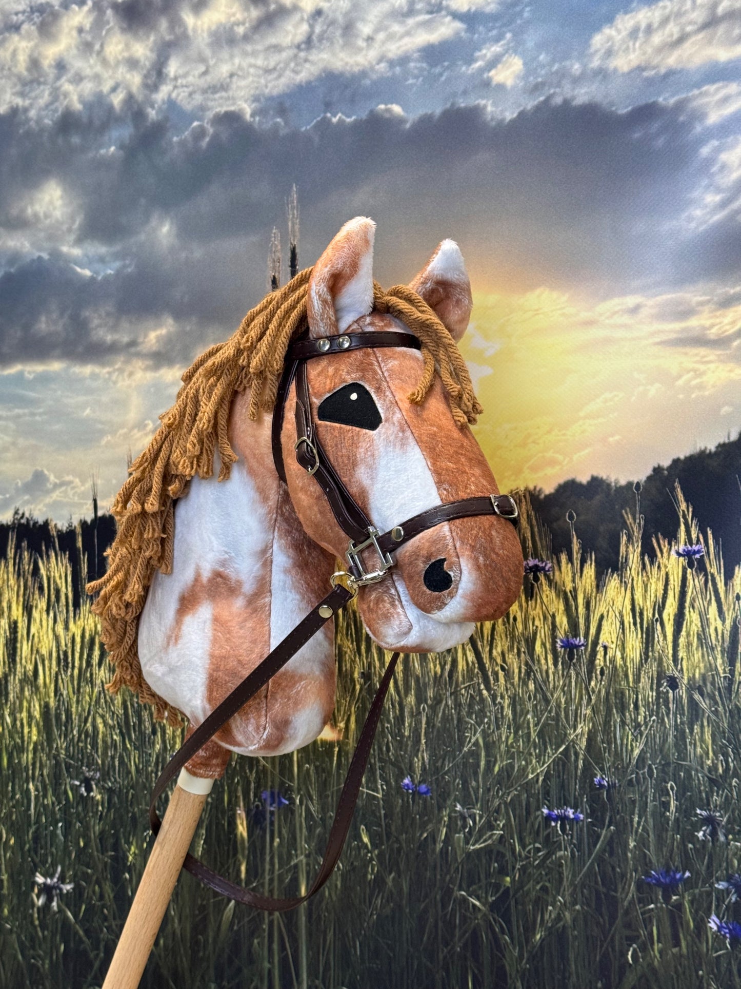 39072567cf1884aebef82c0a1f7db984