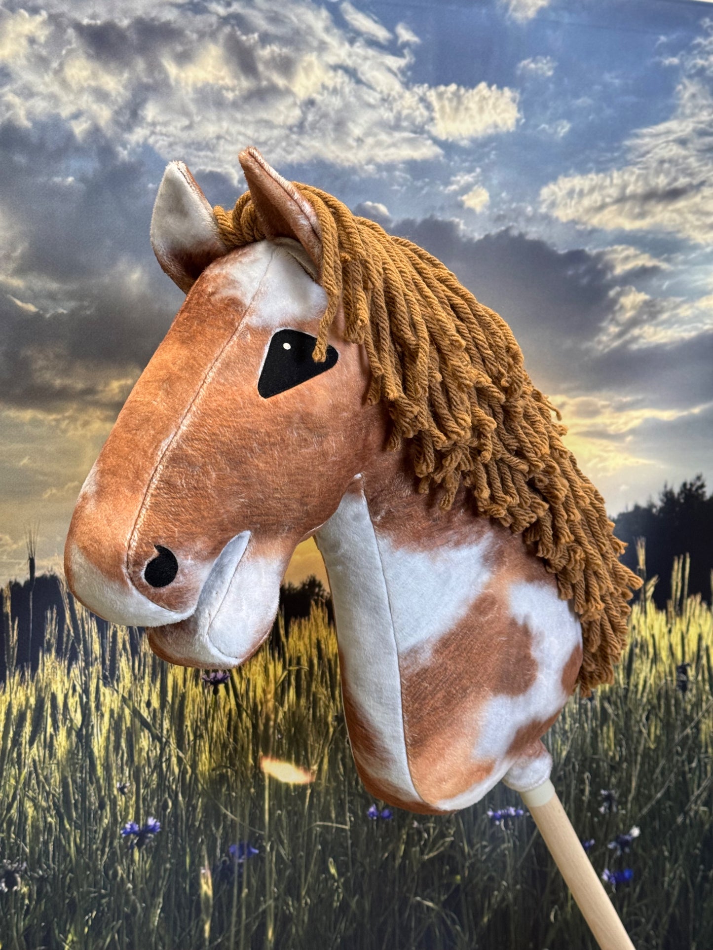 806d49a367fb9787710e4a709f25c1b3