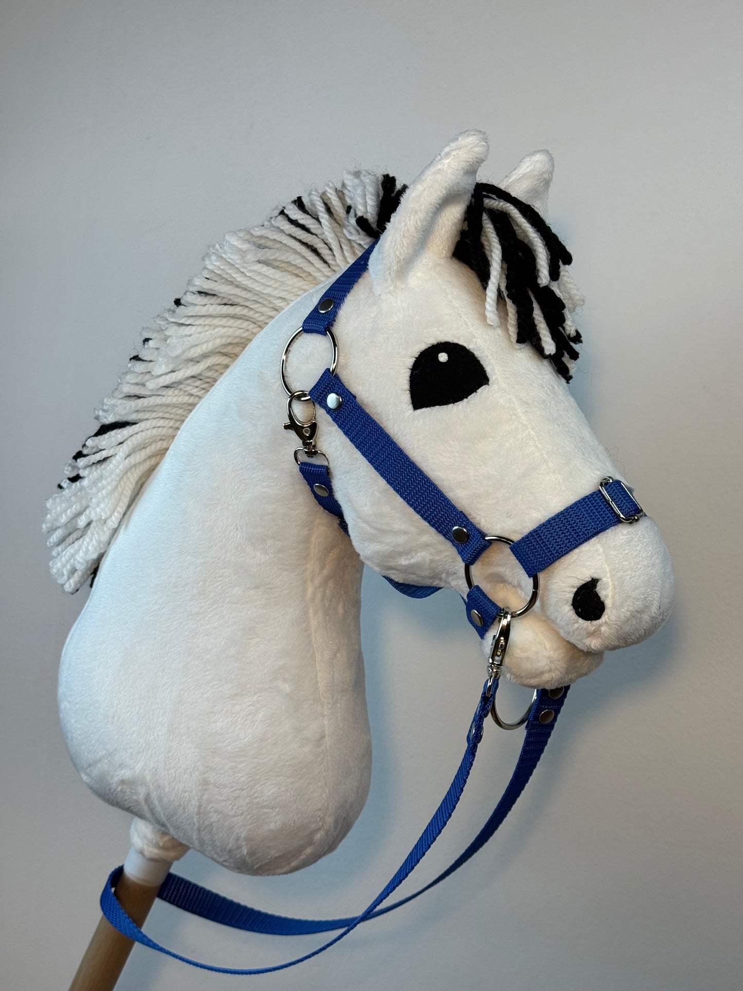 Cavallo hobby Fjord bianco norvegese. Realistico. Disponibile nei formati A3, A4 e A5.