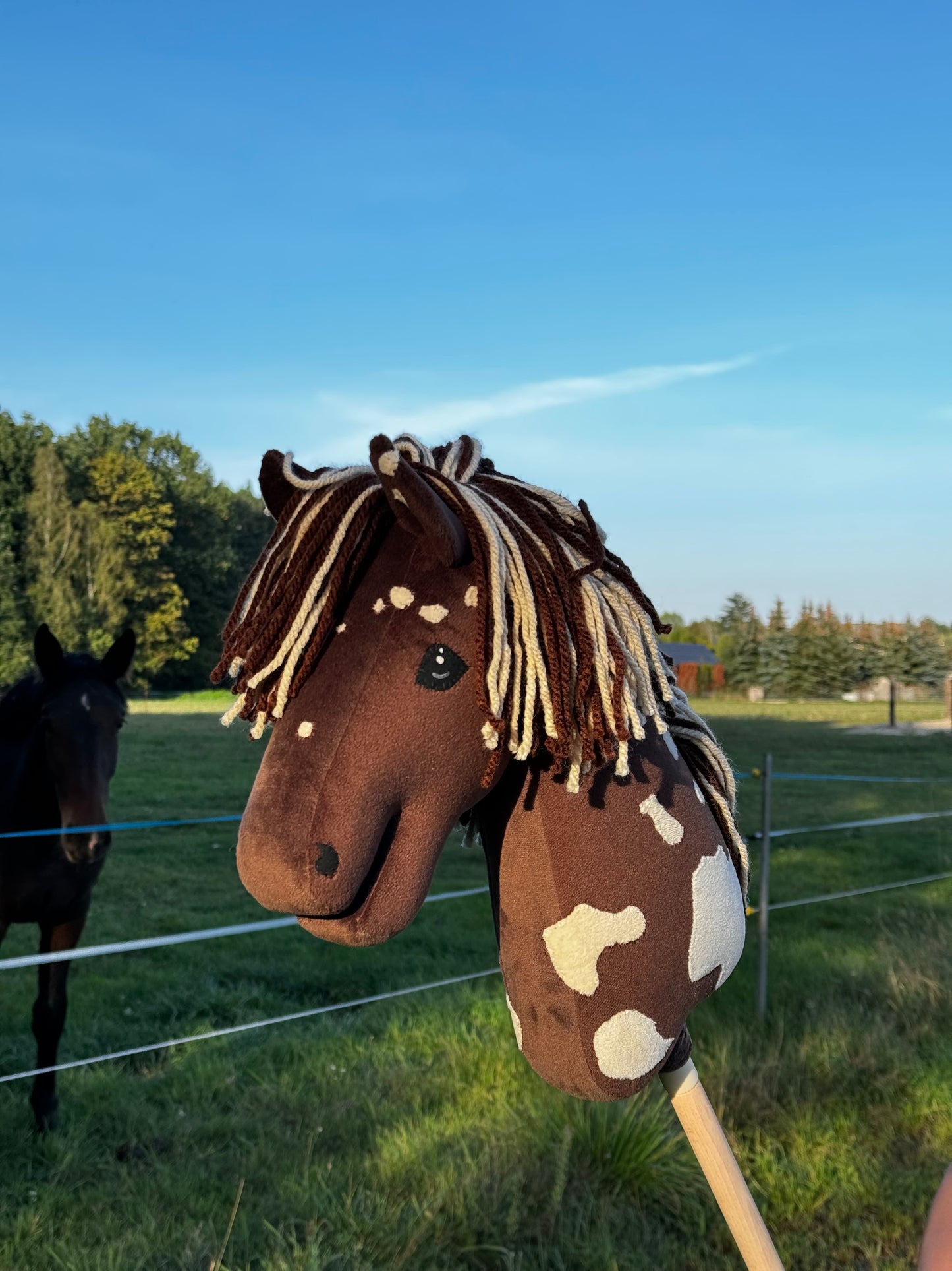 A3 Hobby Horse with Detachable Stick. Choco.