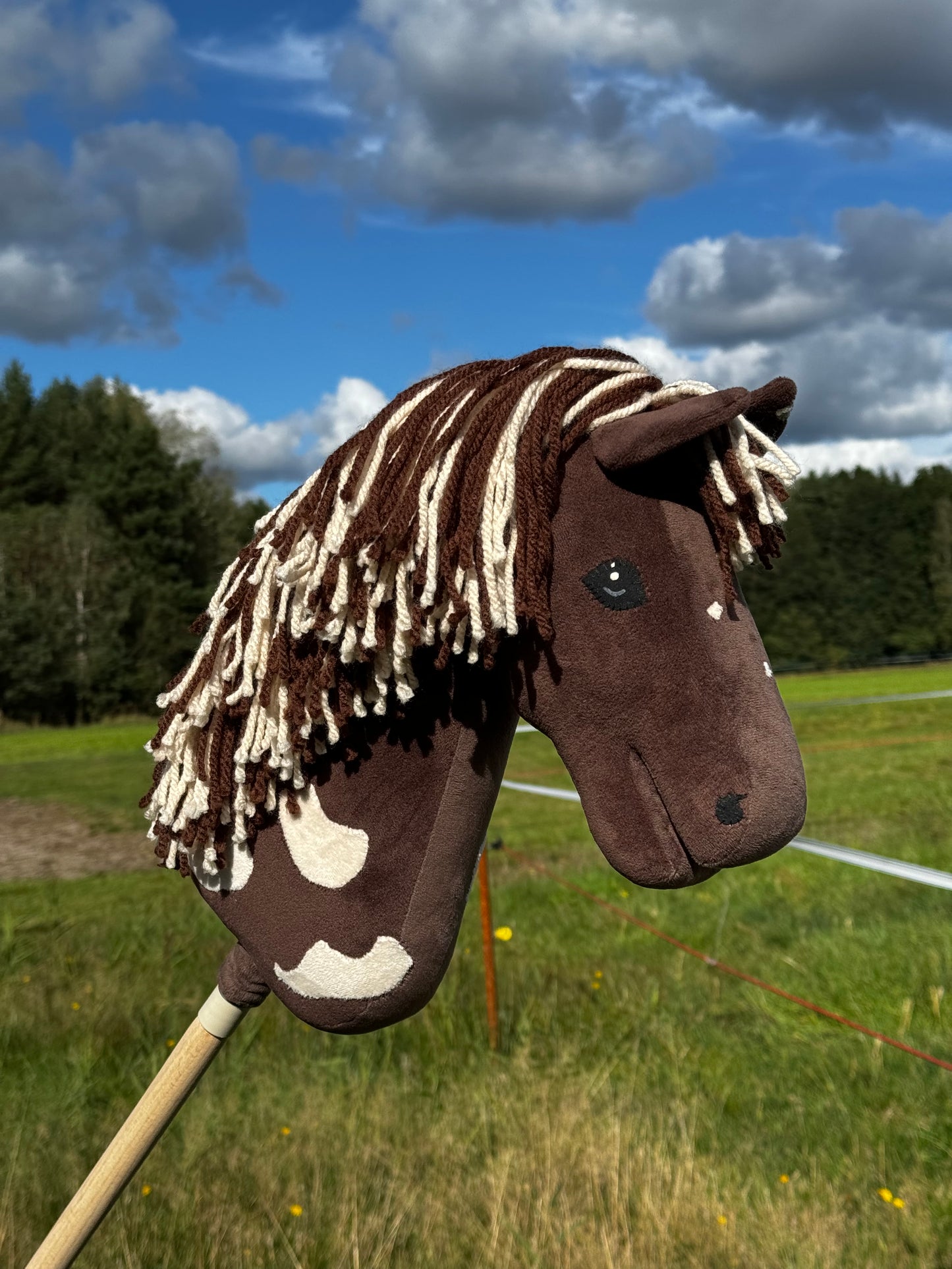 A3 Hobby Horse with Detachable Stick. Choco.