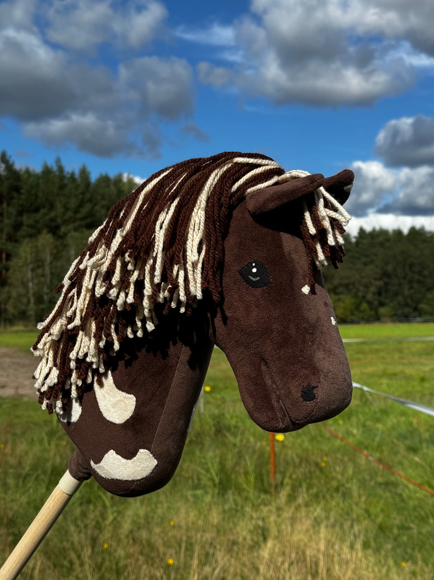 A3 Hobby Horse with Detachable Stick. Choco.