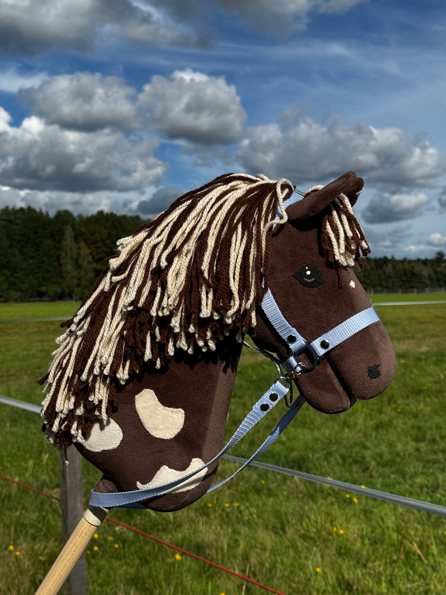 A3 Hobby Horse with Detachable Stick. Choco.