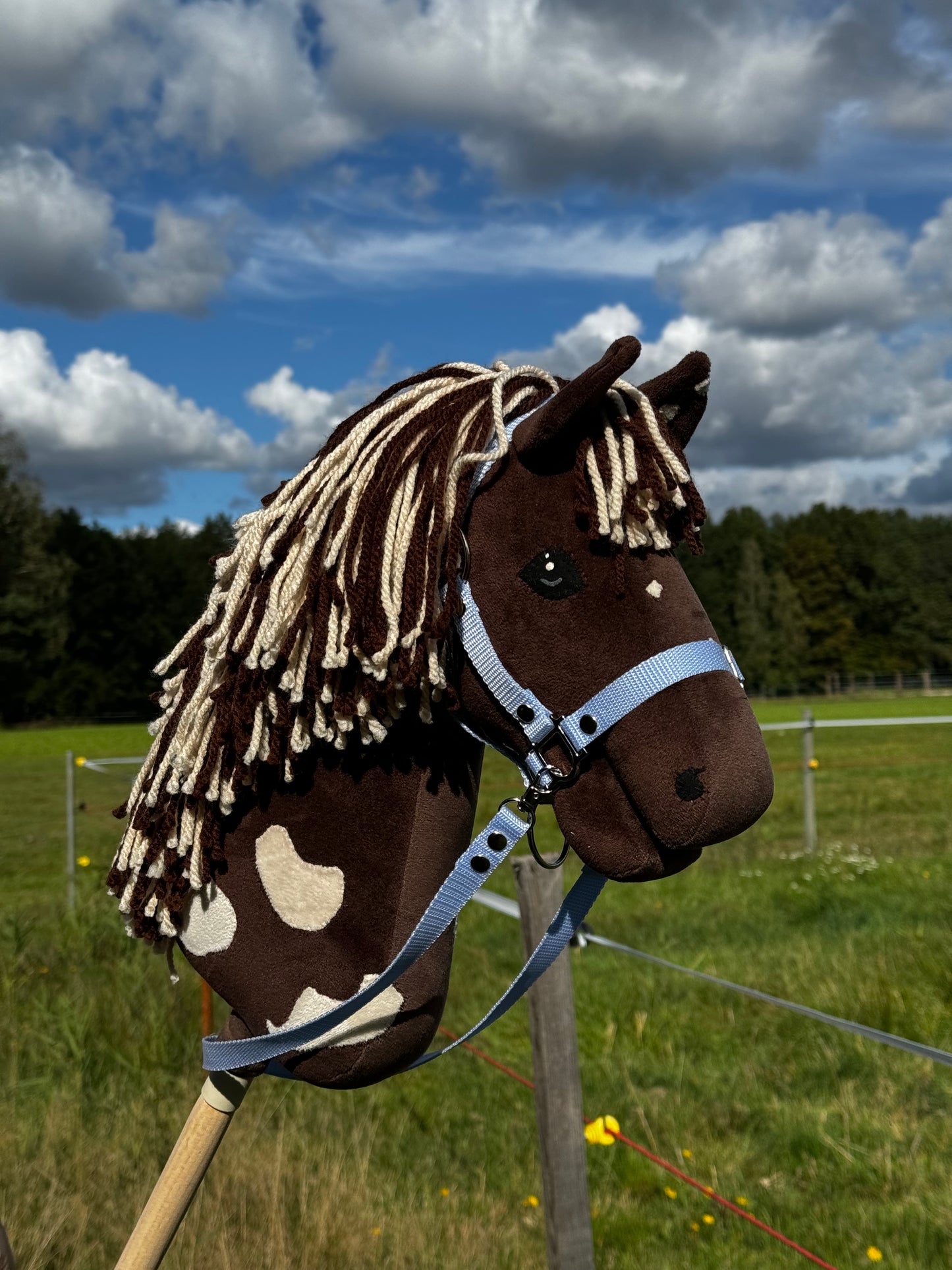A3 Hobby Horse with Detachable Stick. Choco.