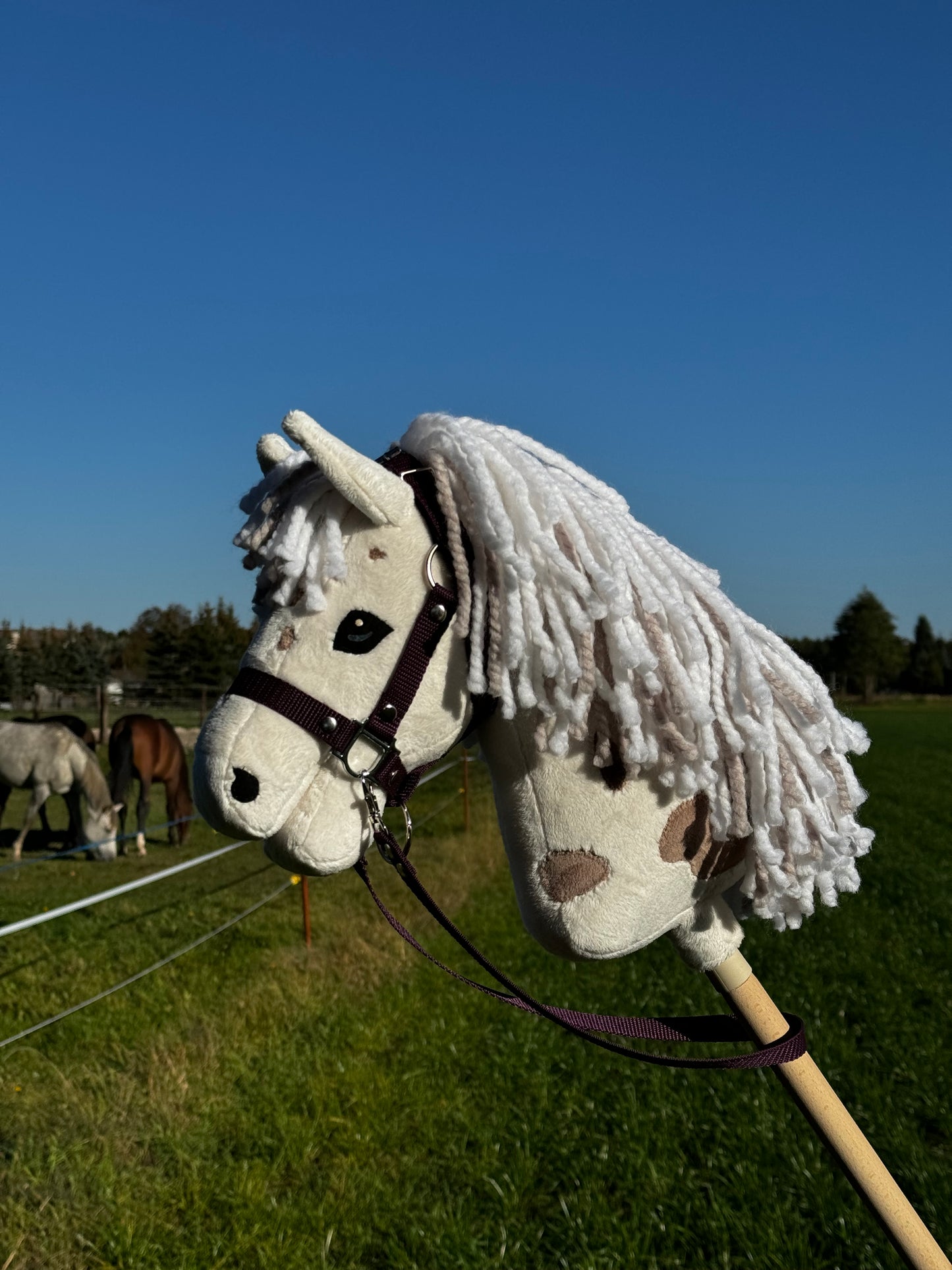 Hobby Horse A4 with detachable stick. Vanilla cookie.