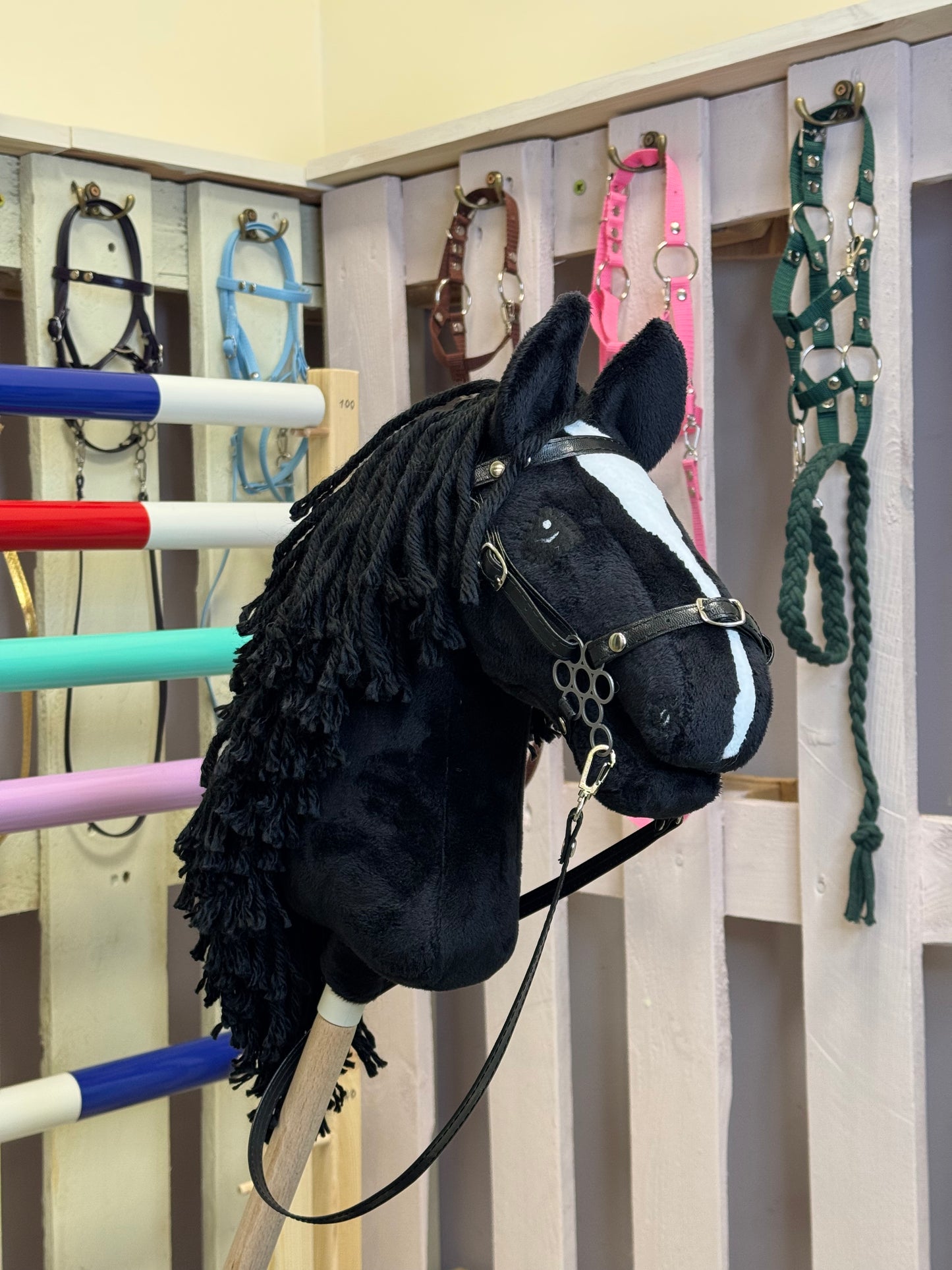 Hobby Horse A4. Black with white blaze.