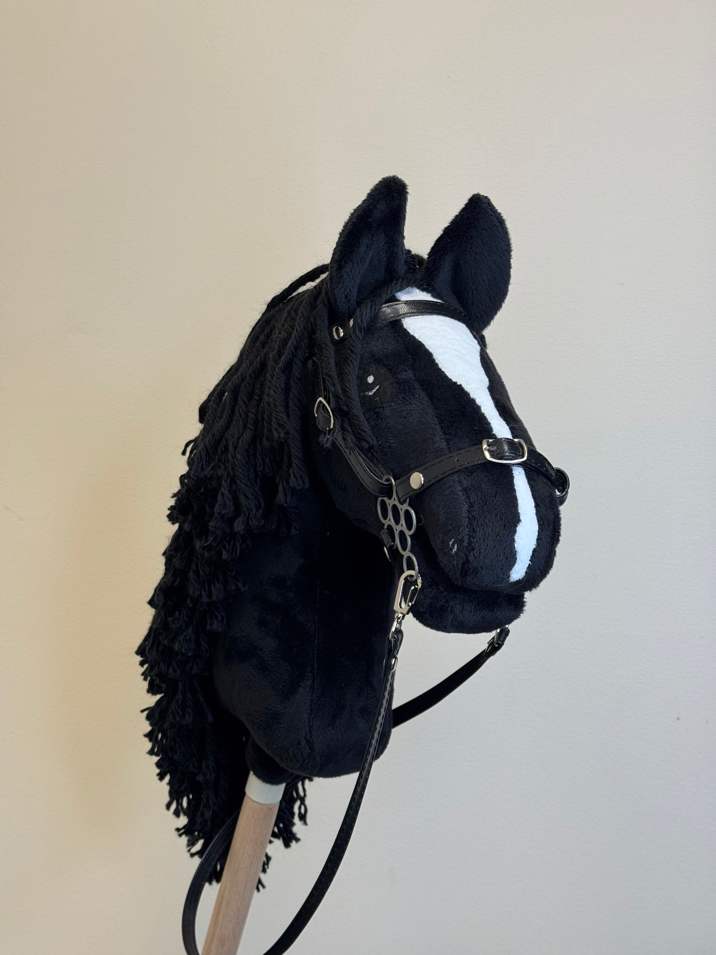 Hobby Horse A4. Black with white blaze.