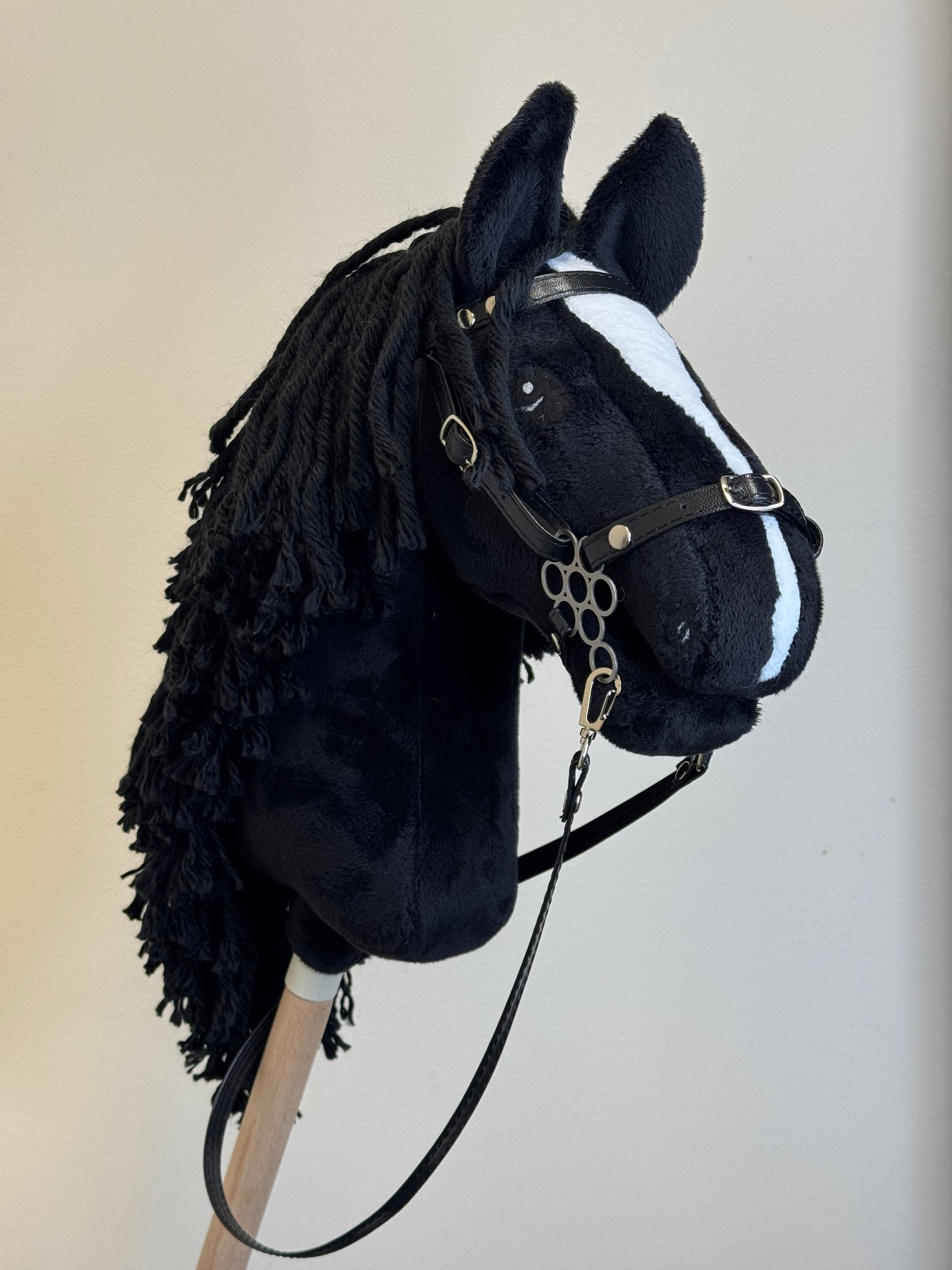 Hobby Horse A4. Black with white blaze.