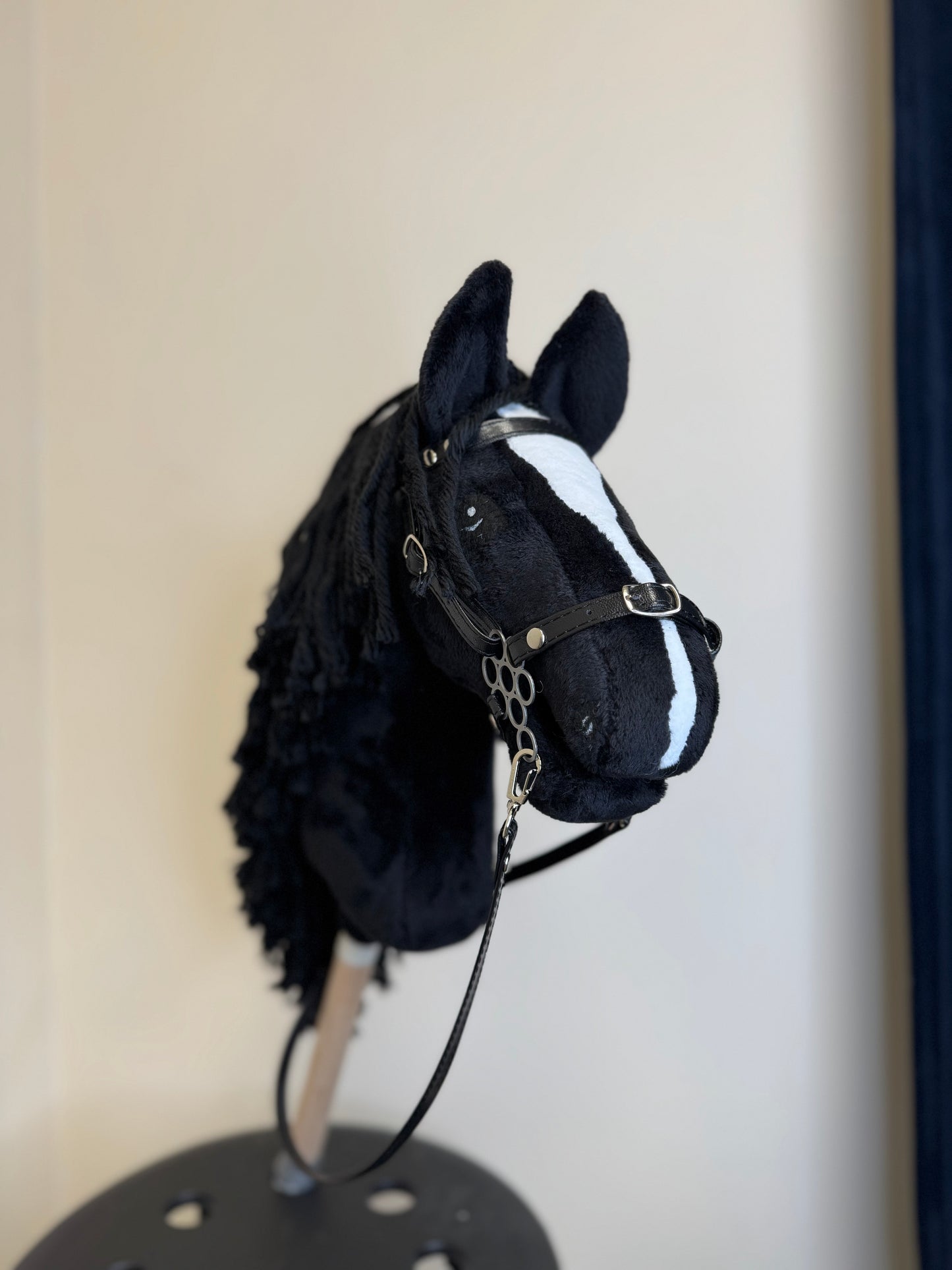 Hobby Horse A4. Black with white blaze.