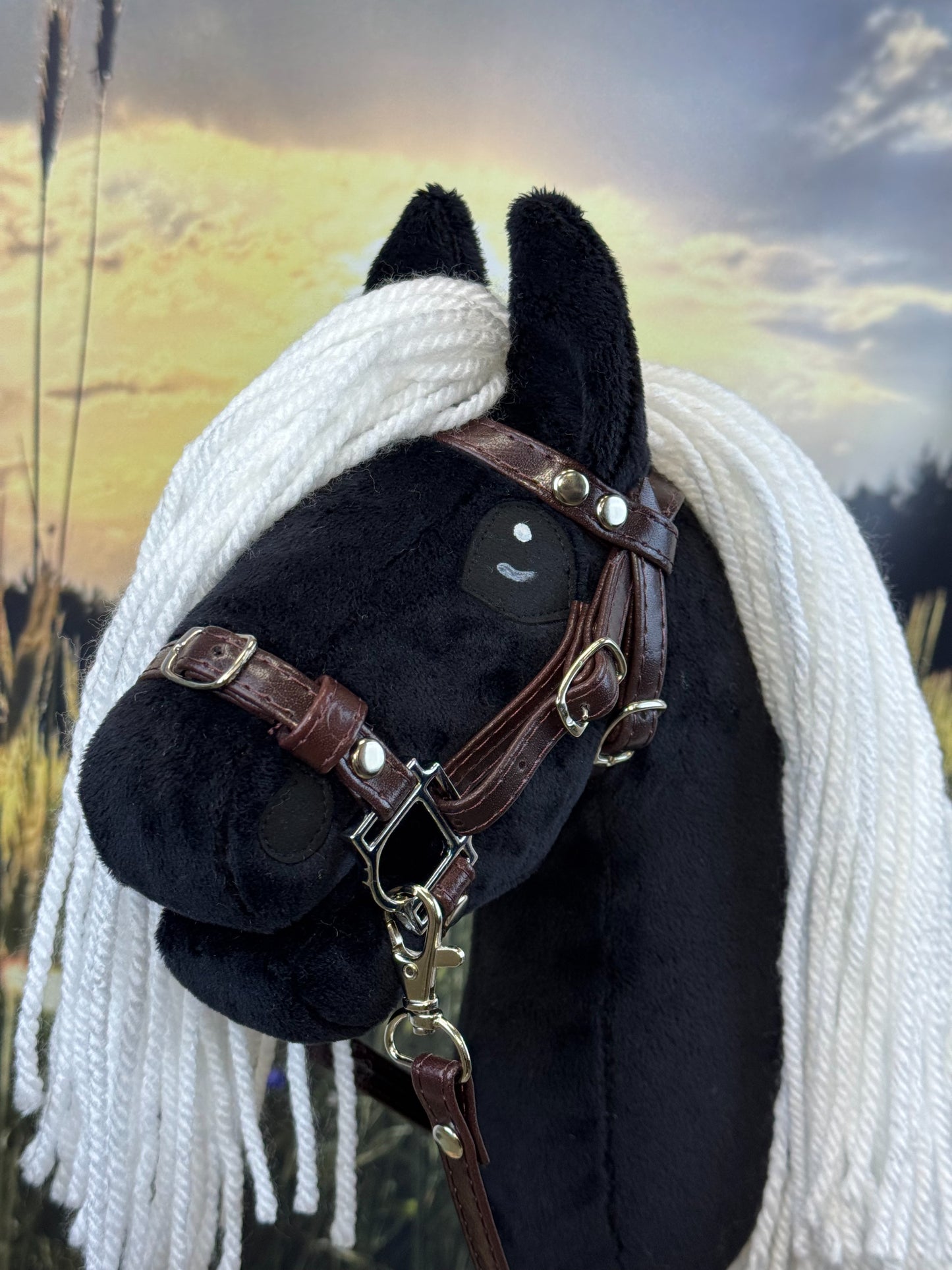 a8456fec657f270ba02664abcb23d5f4