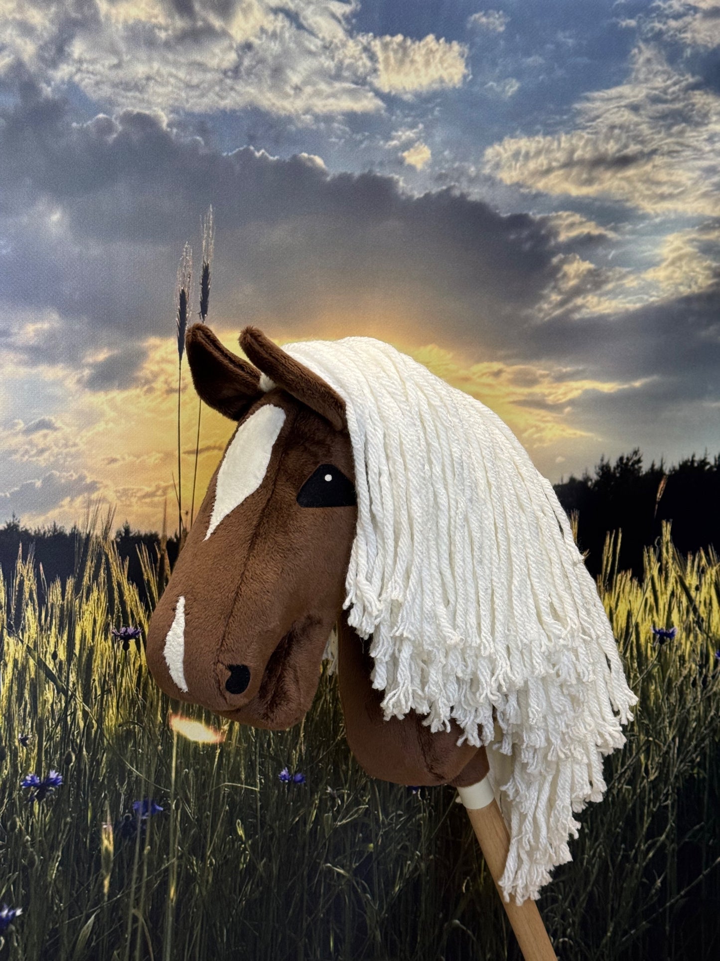 e5e4b49beb45ec520a3525bece848772