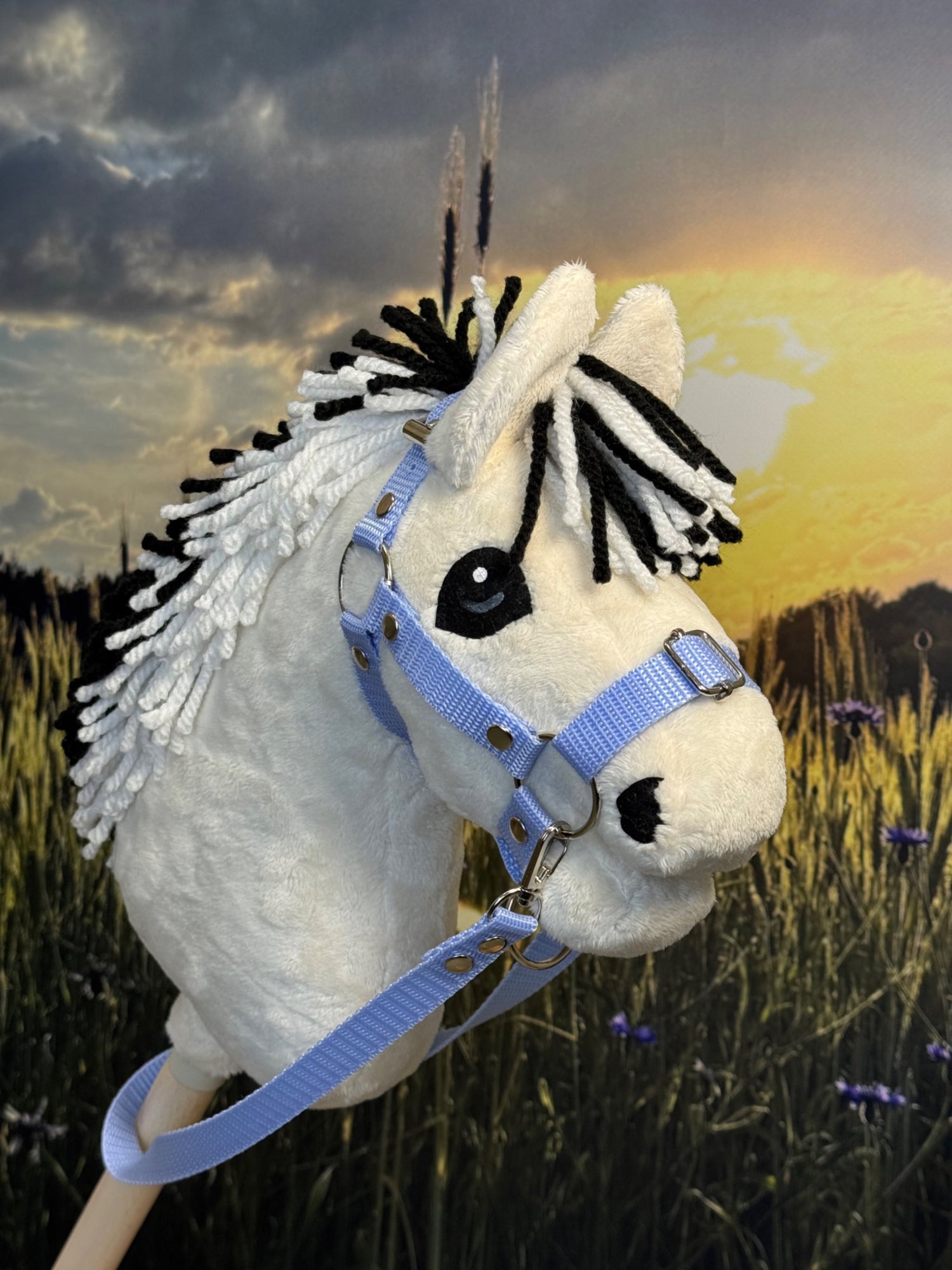 A5 Hobby Horse