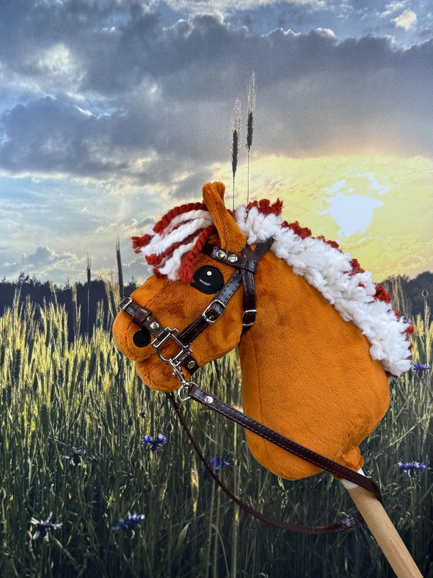 95c0b8155b98cec6ce327d9c57cb322f