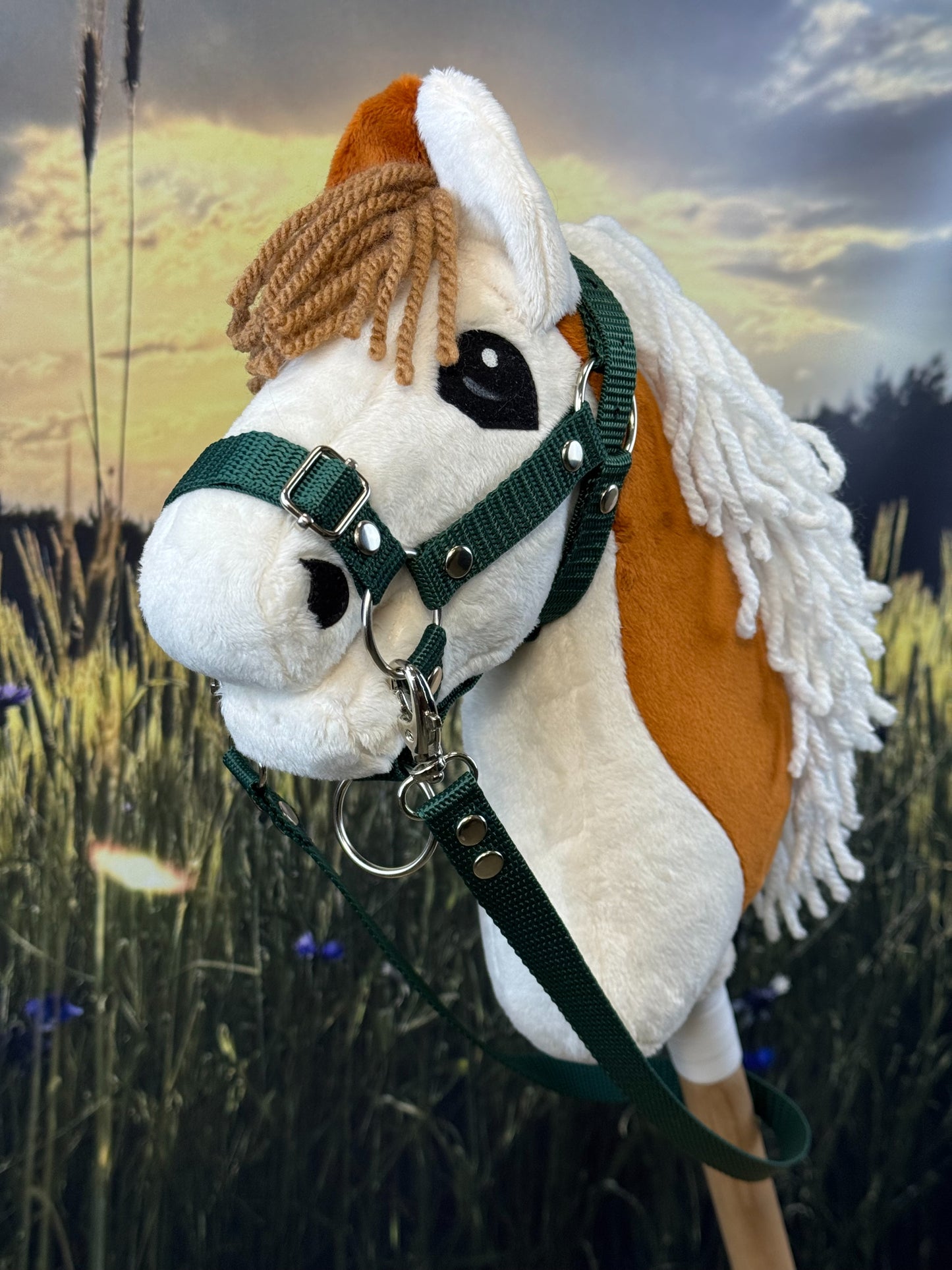 d3537d83914ce7e8948efddaf7b24e2d