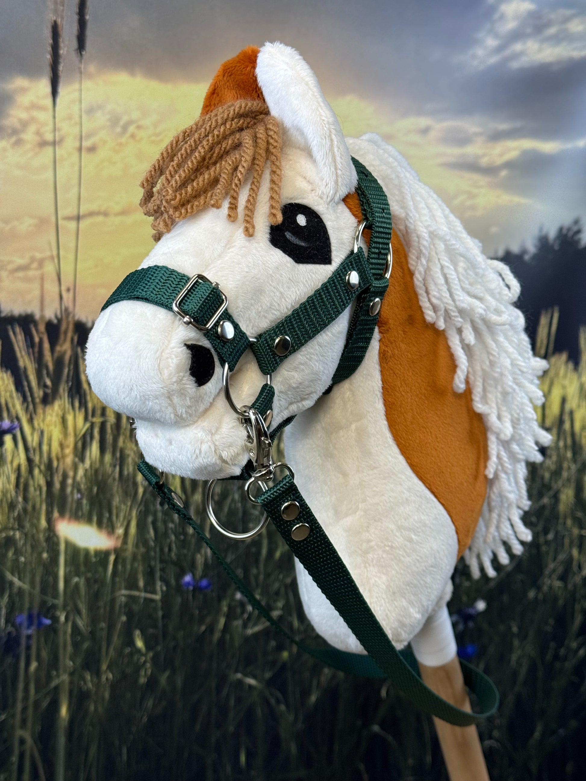 d3537d83914ce7e8948efddaf7b24e2d