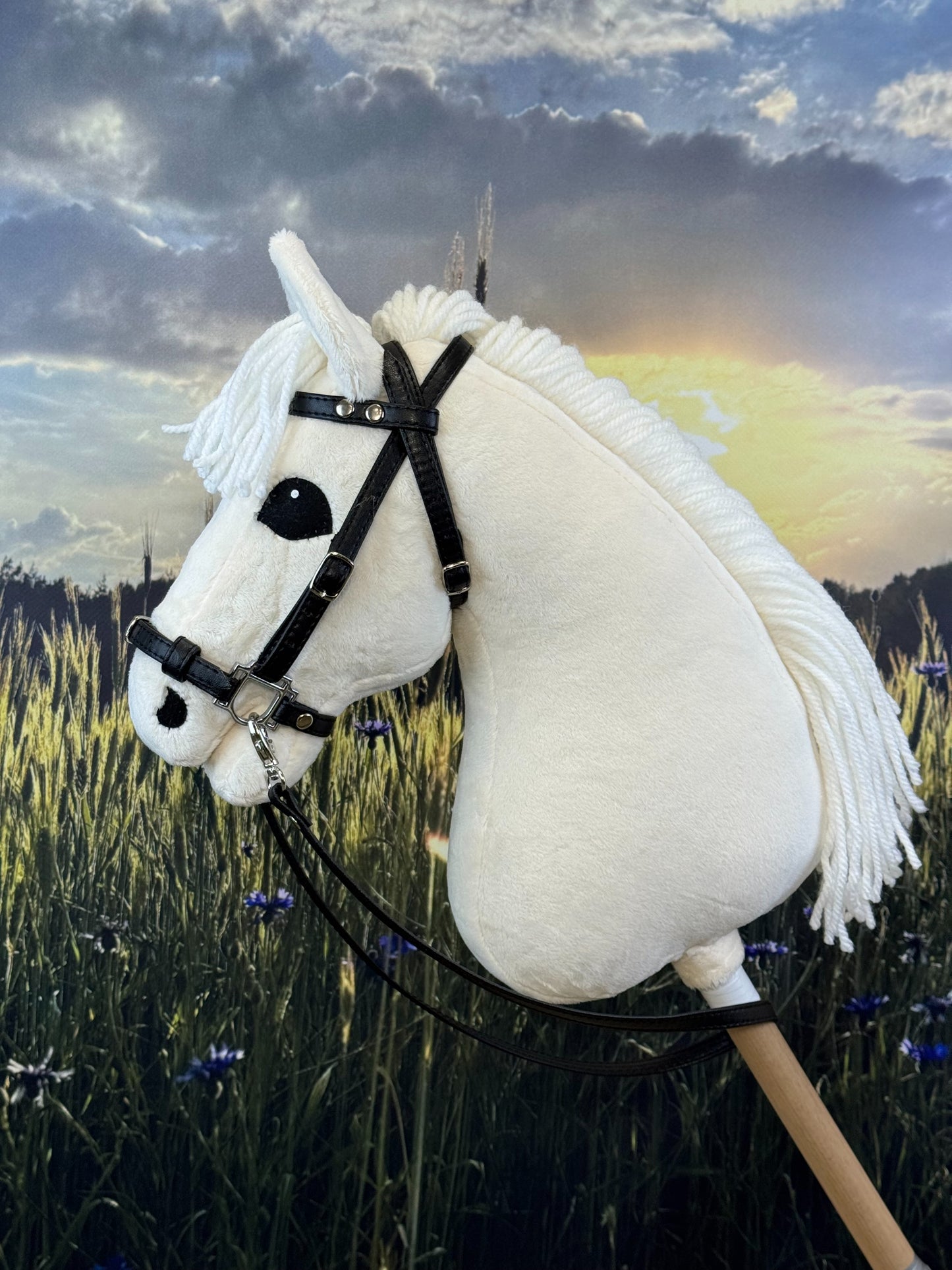 870a9c1e9012f1006aa7a03fef3a7e42