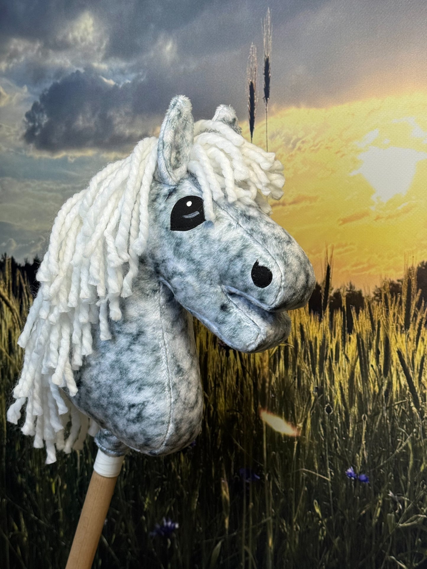 948488cb2bbe4df0211de9ca50aa4b0a