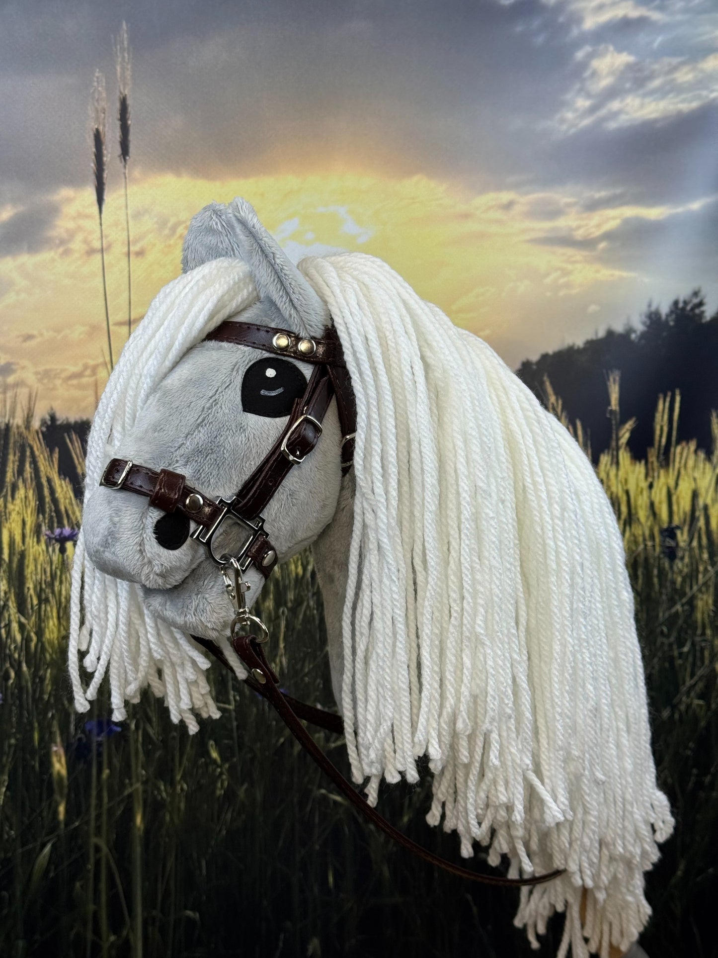 b5a7e94f55ee1d859670d343914a2724