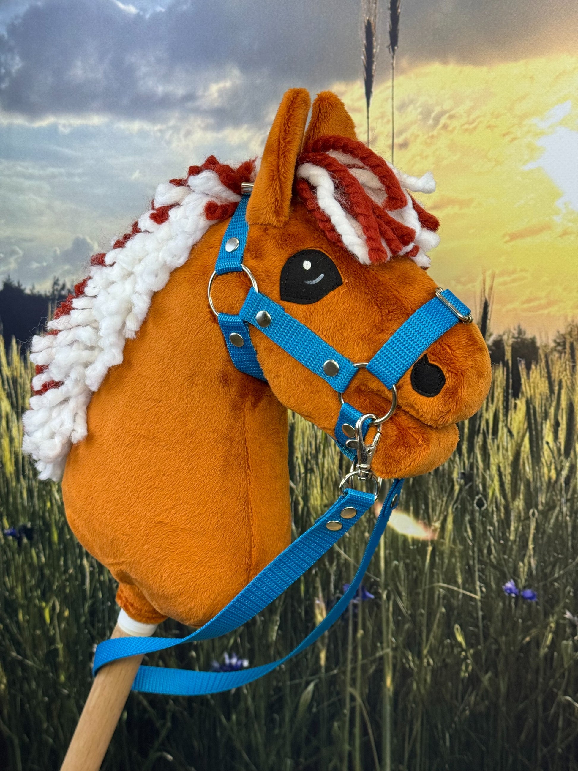 a4e1df530ee81d604a2bf237ff76cd77