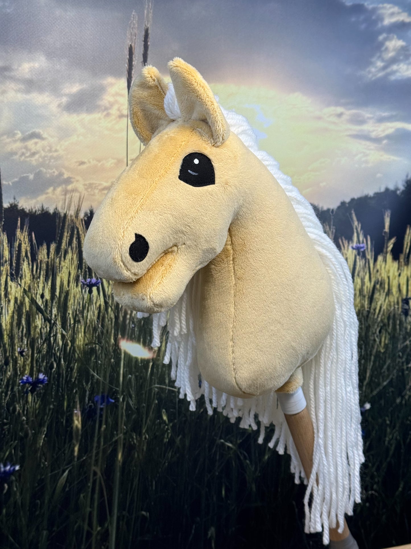 f1ff4773e2eb28fdfe3cf3e9c557a2d2