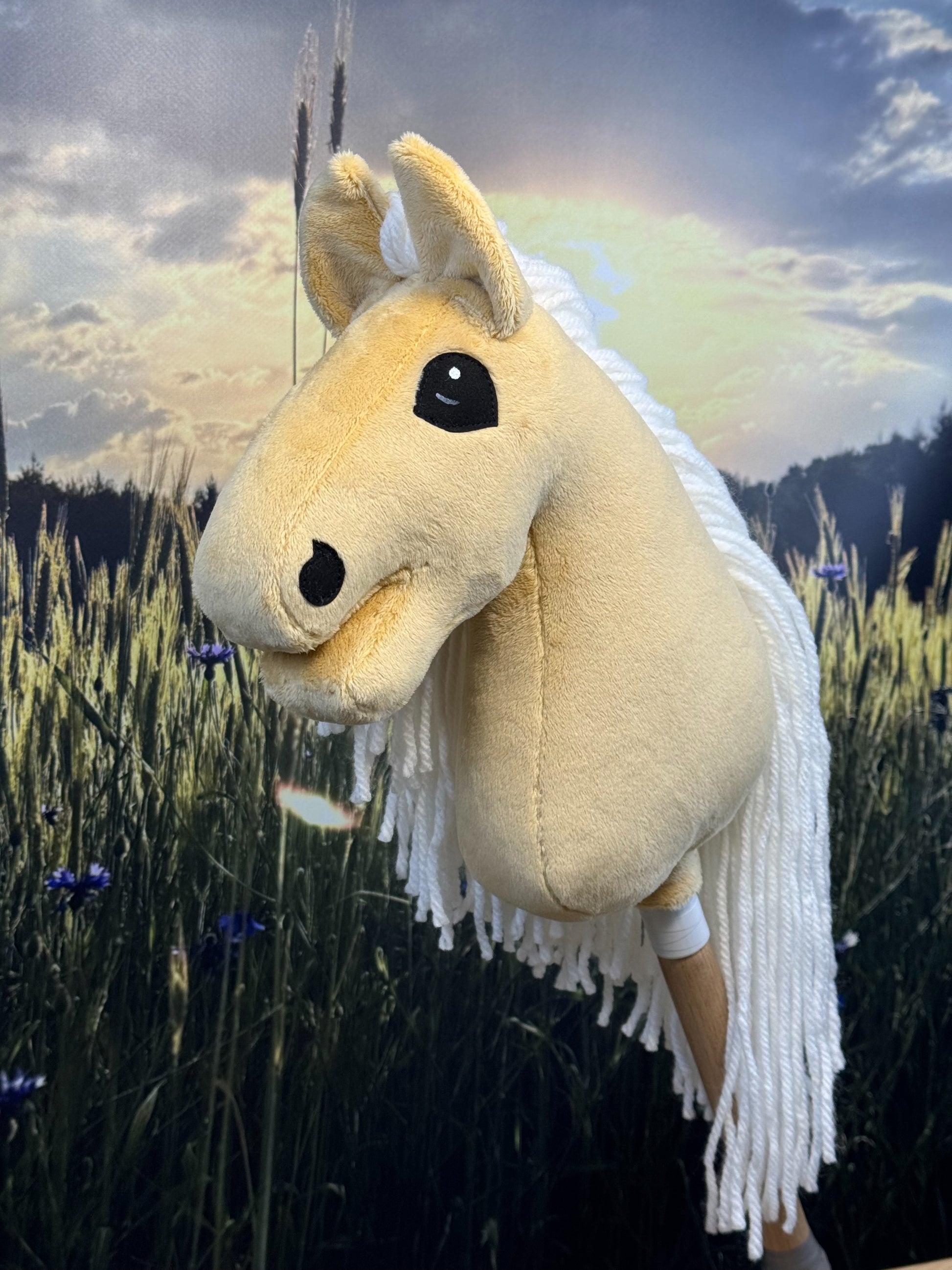 f1ff4773e2eb28fdfe3cf3e9c557a2d2