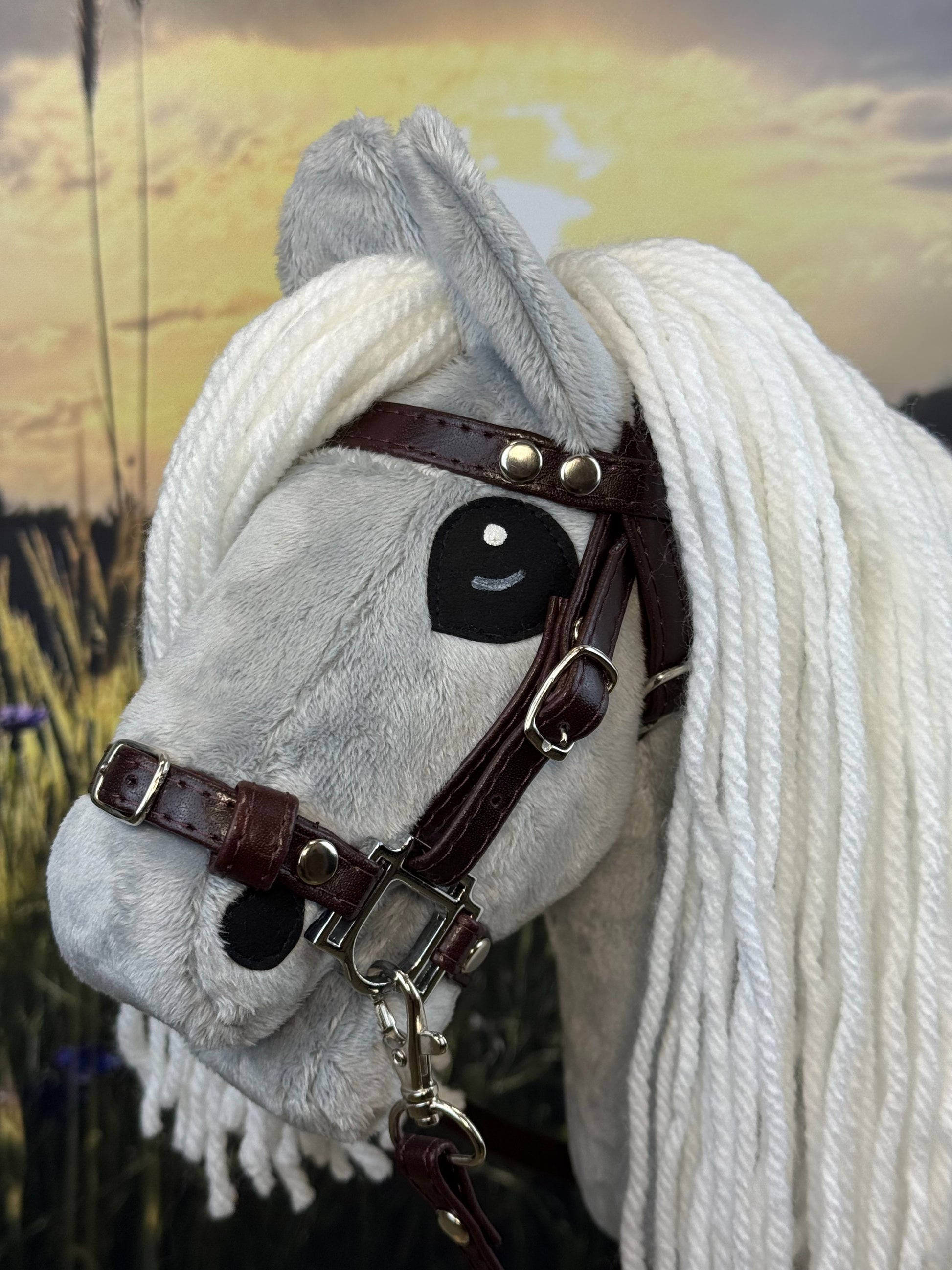 e5576c1b7455ffce077bf0c43a8d50f8