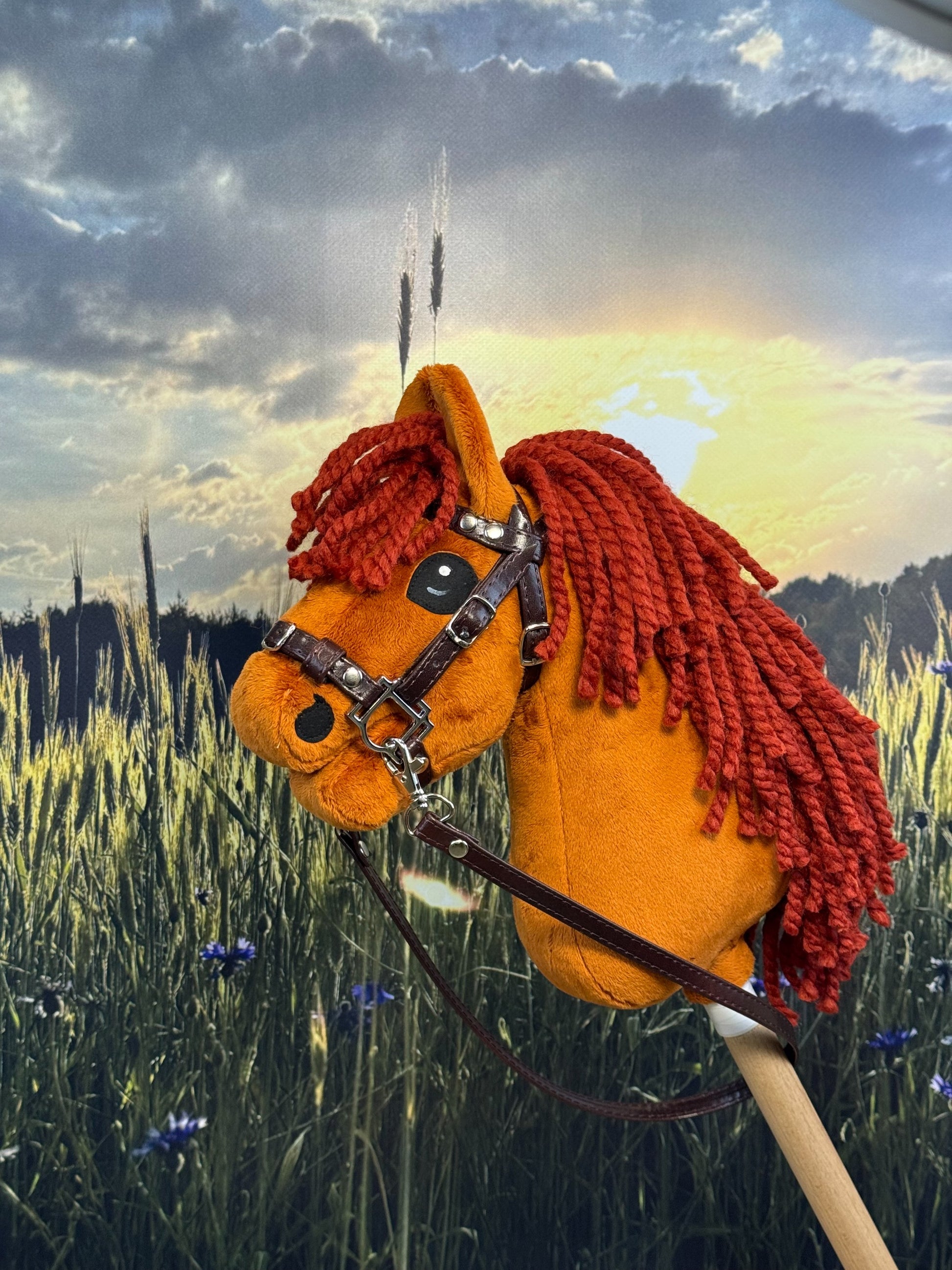 28385174979de278a7eaaf8607166e2c