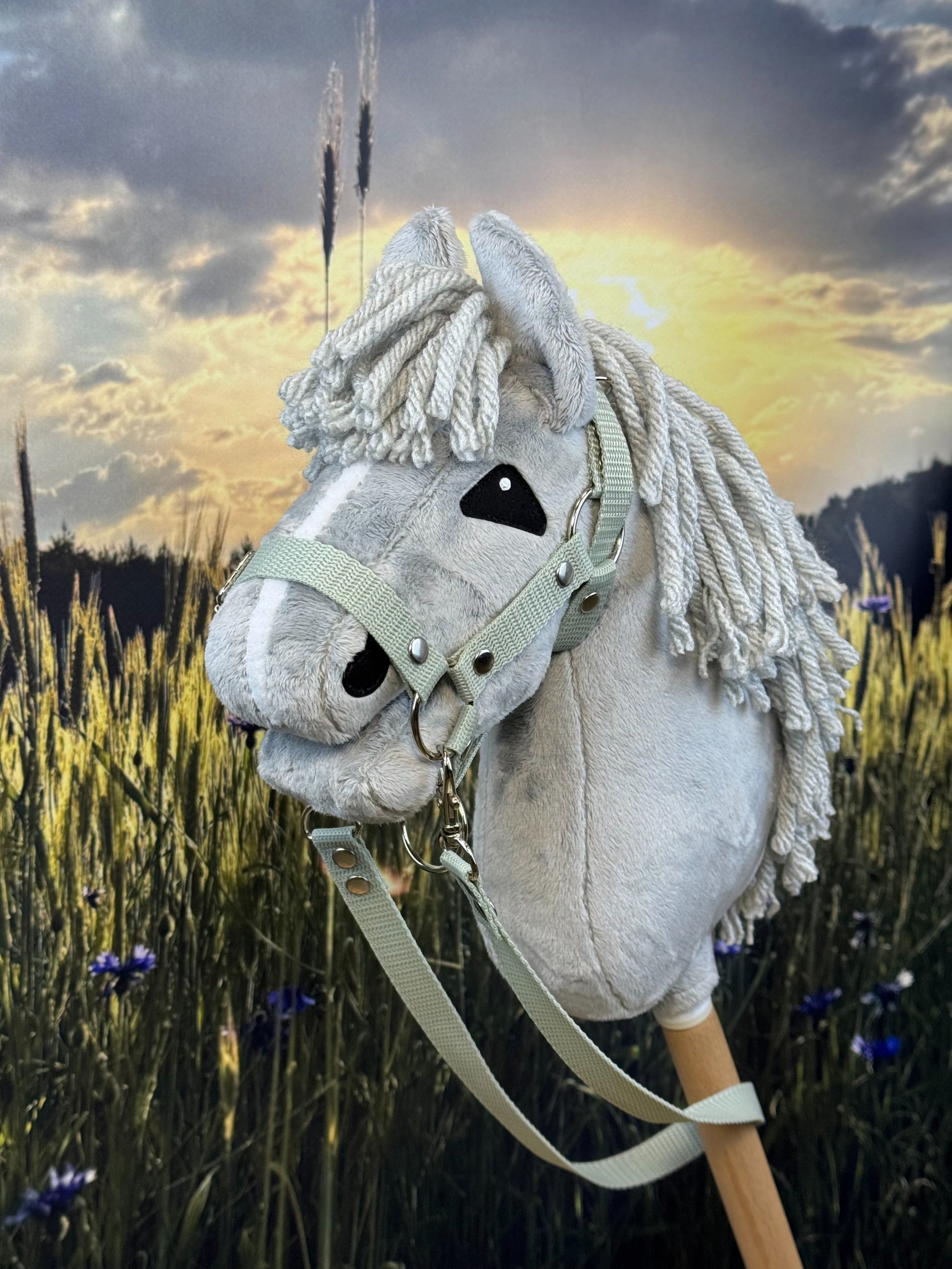 f3c4148a612d6353a51558892cc9423f