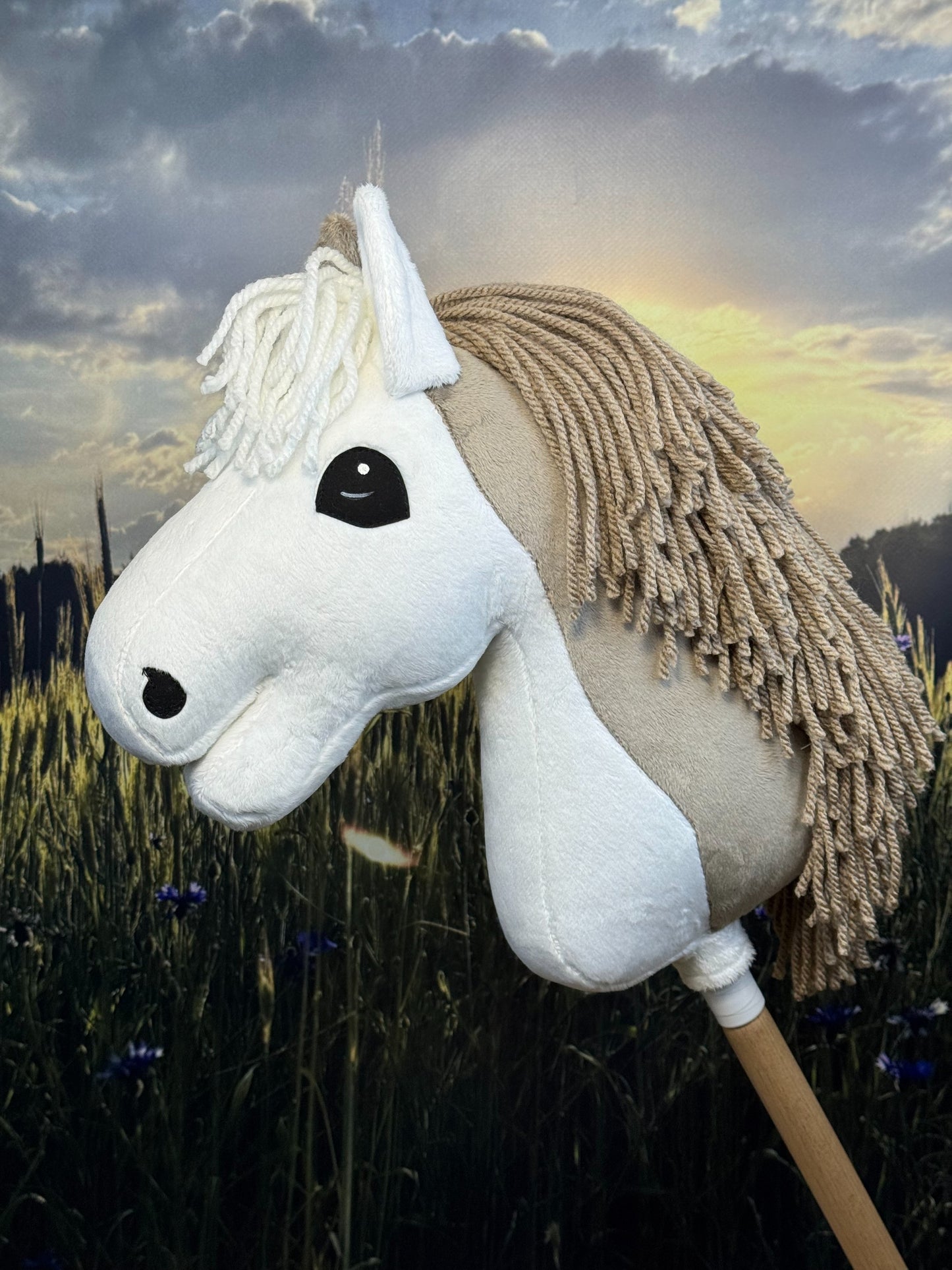 323c322eb029d7c9ac694db20b4e7e82