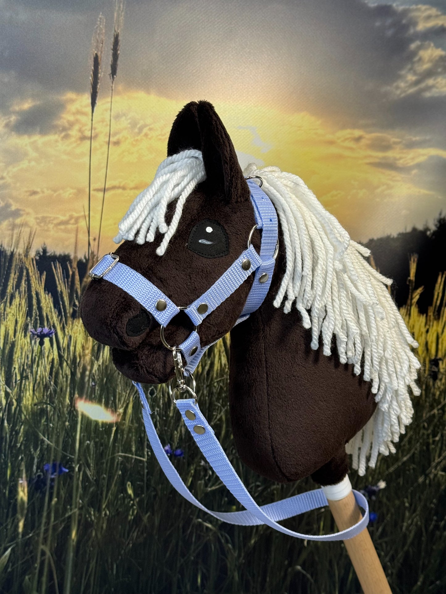 c63d5d6159d96a3b8a8bcffb0137ba61