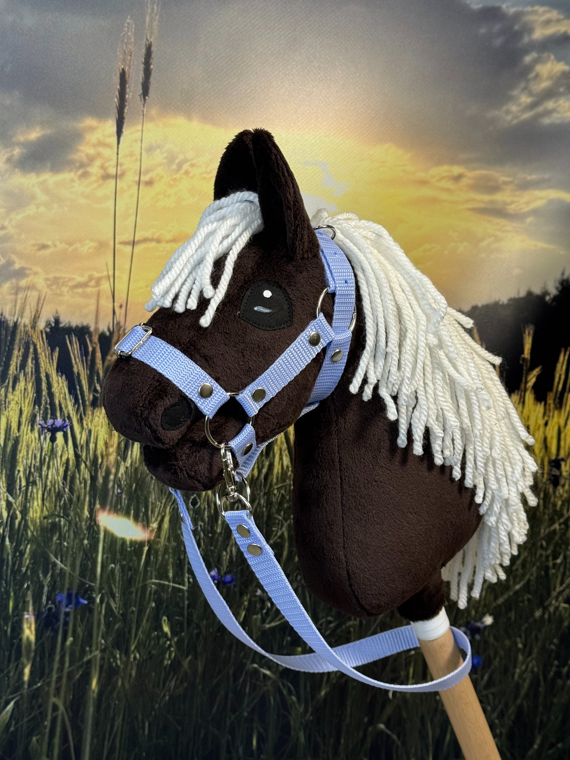 c63d5d6159d96a3b8a8bcffb0137ba61