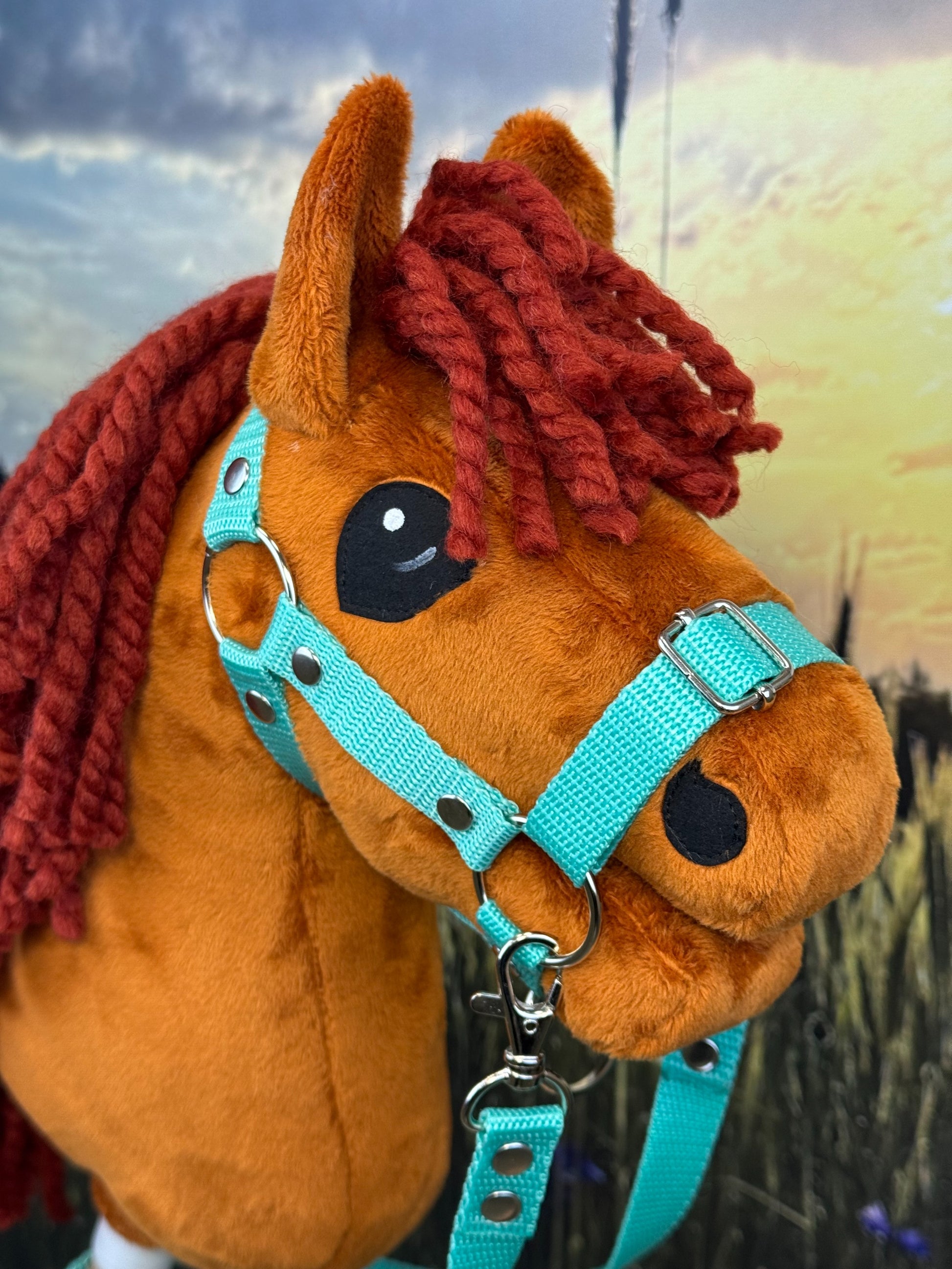 8aa9034aadb95bb3131fbda09f5e2b0d