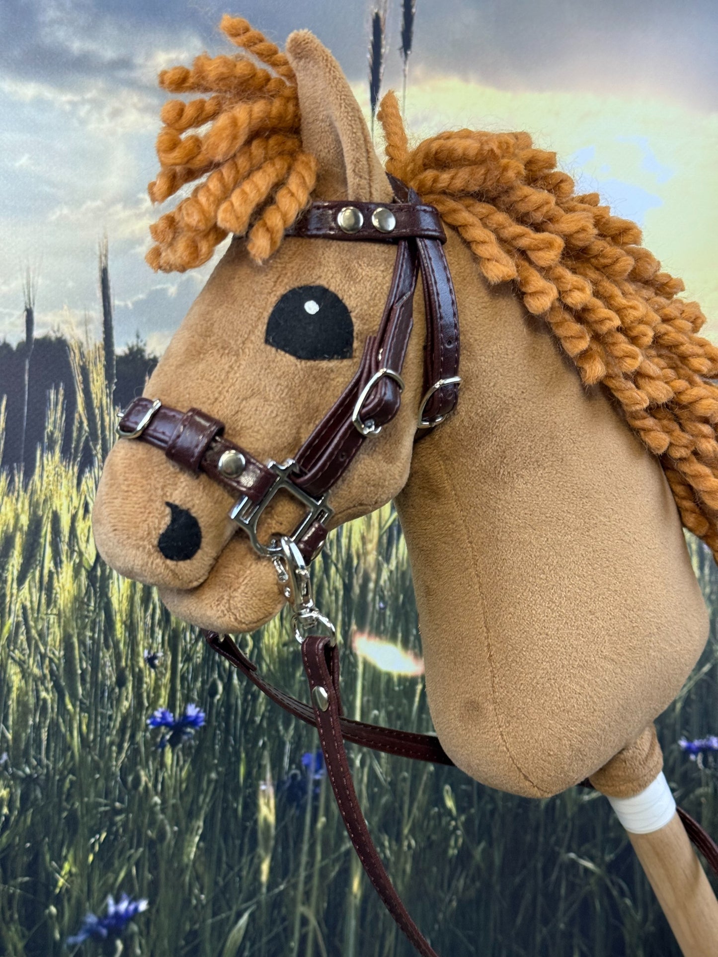 eb6c5383c3f8993789aa56f3f25e831a