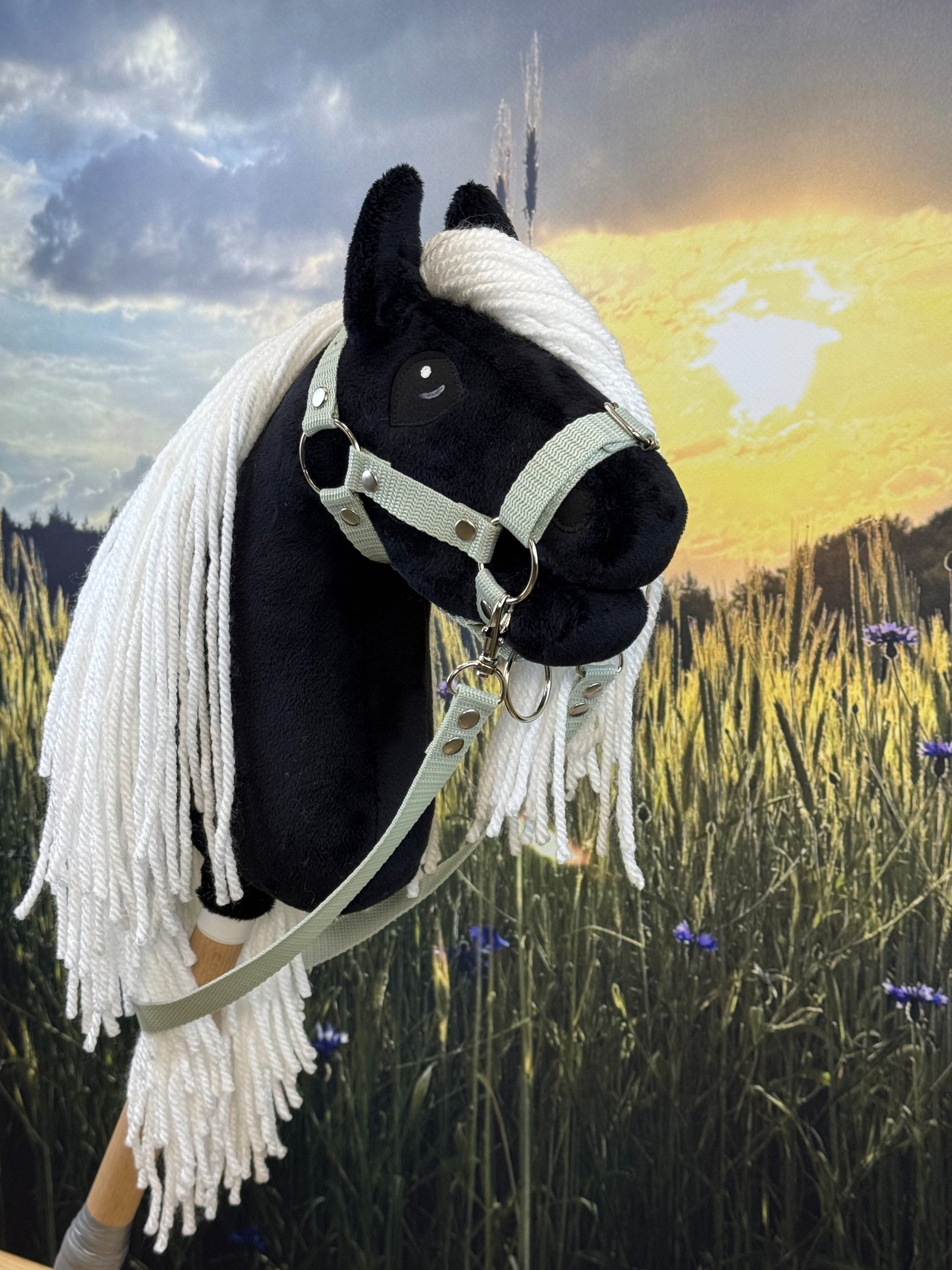 3ec8c8e08bb36c7c2656526e296d7a62