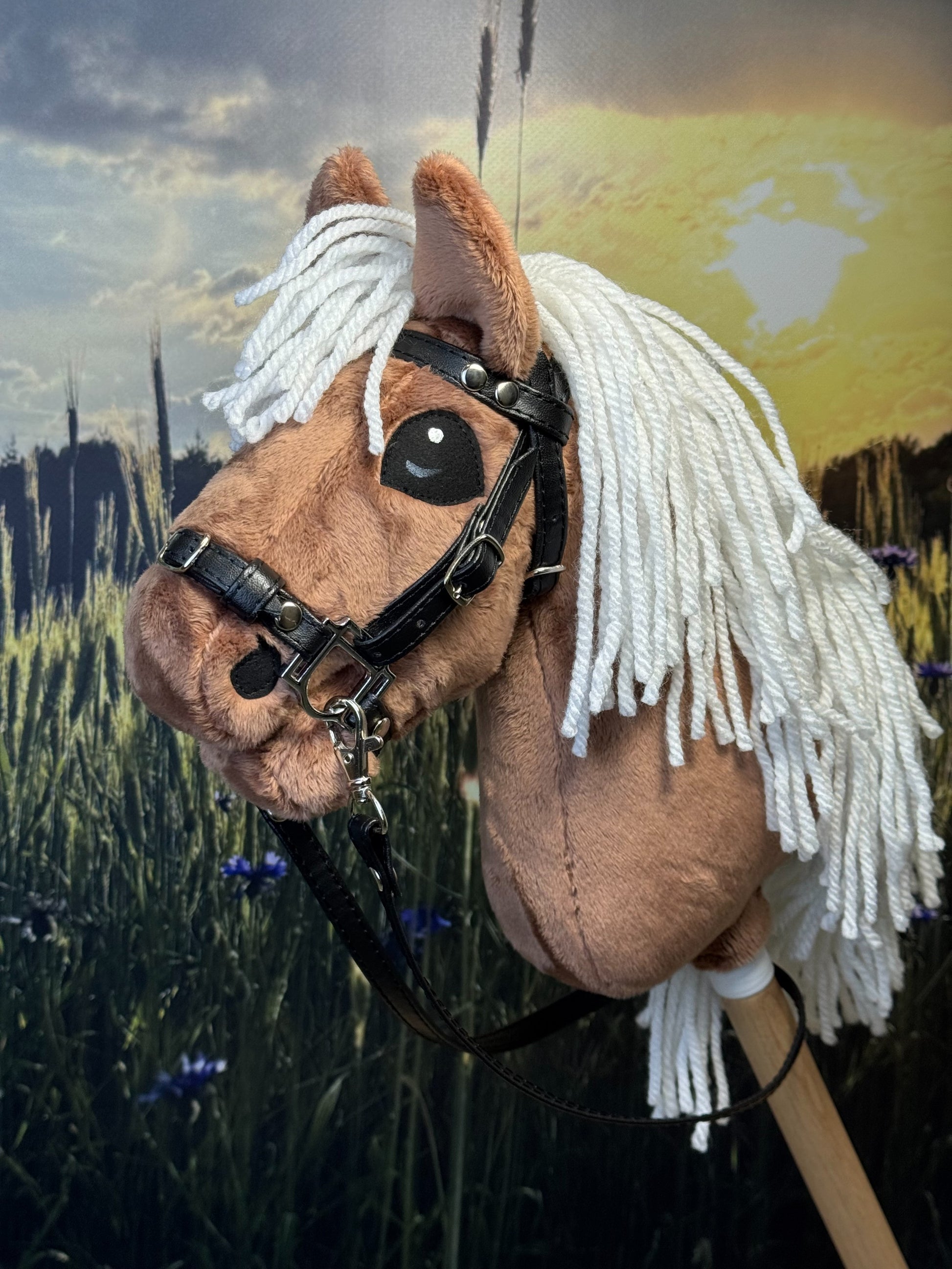 afc3be38f5fd88298d7a960acdfc9723