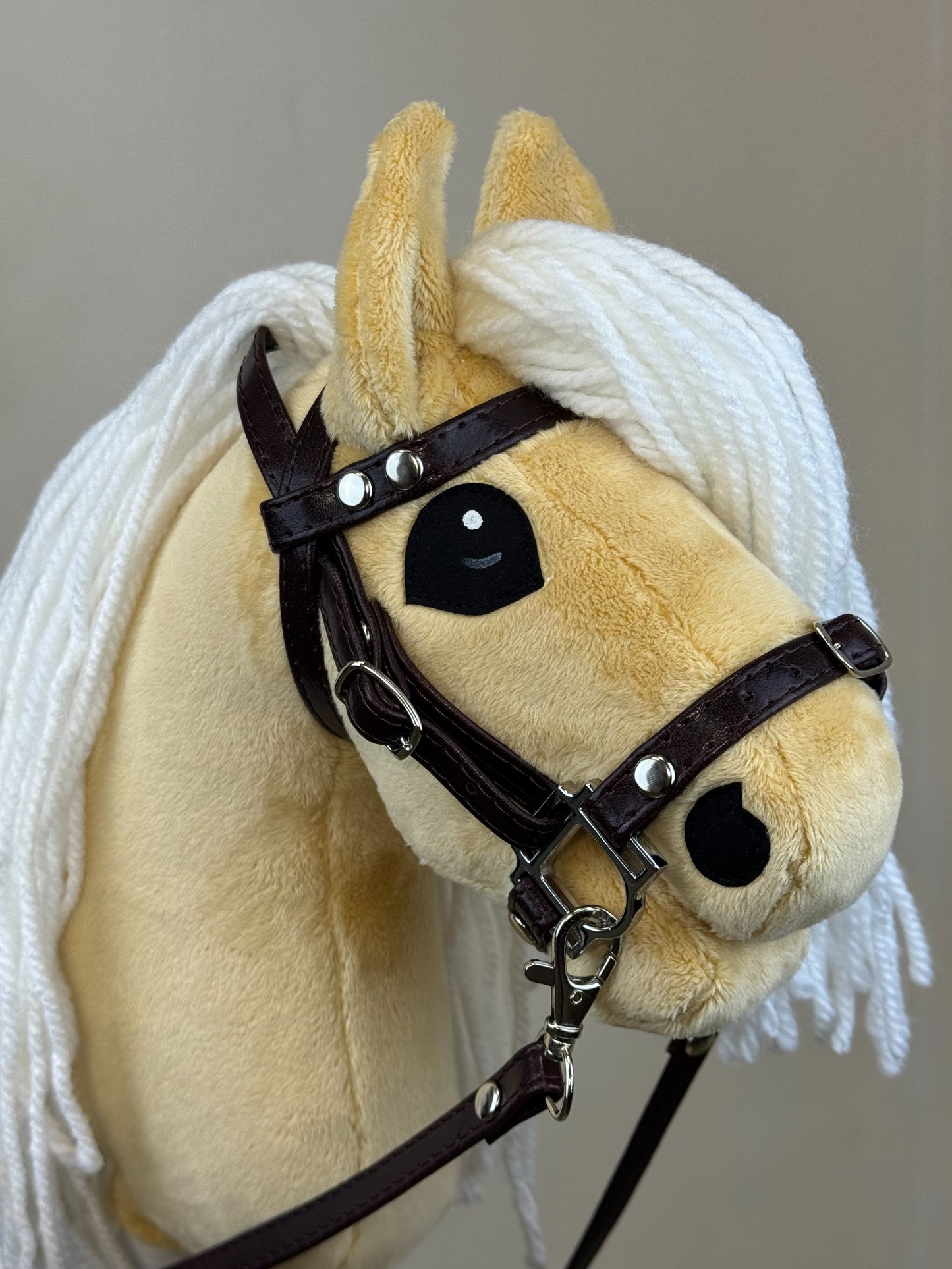 700e98ce47c11cd85fb77495a5a64bae