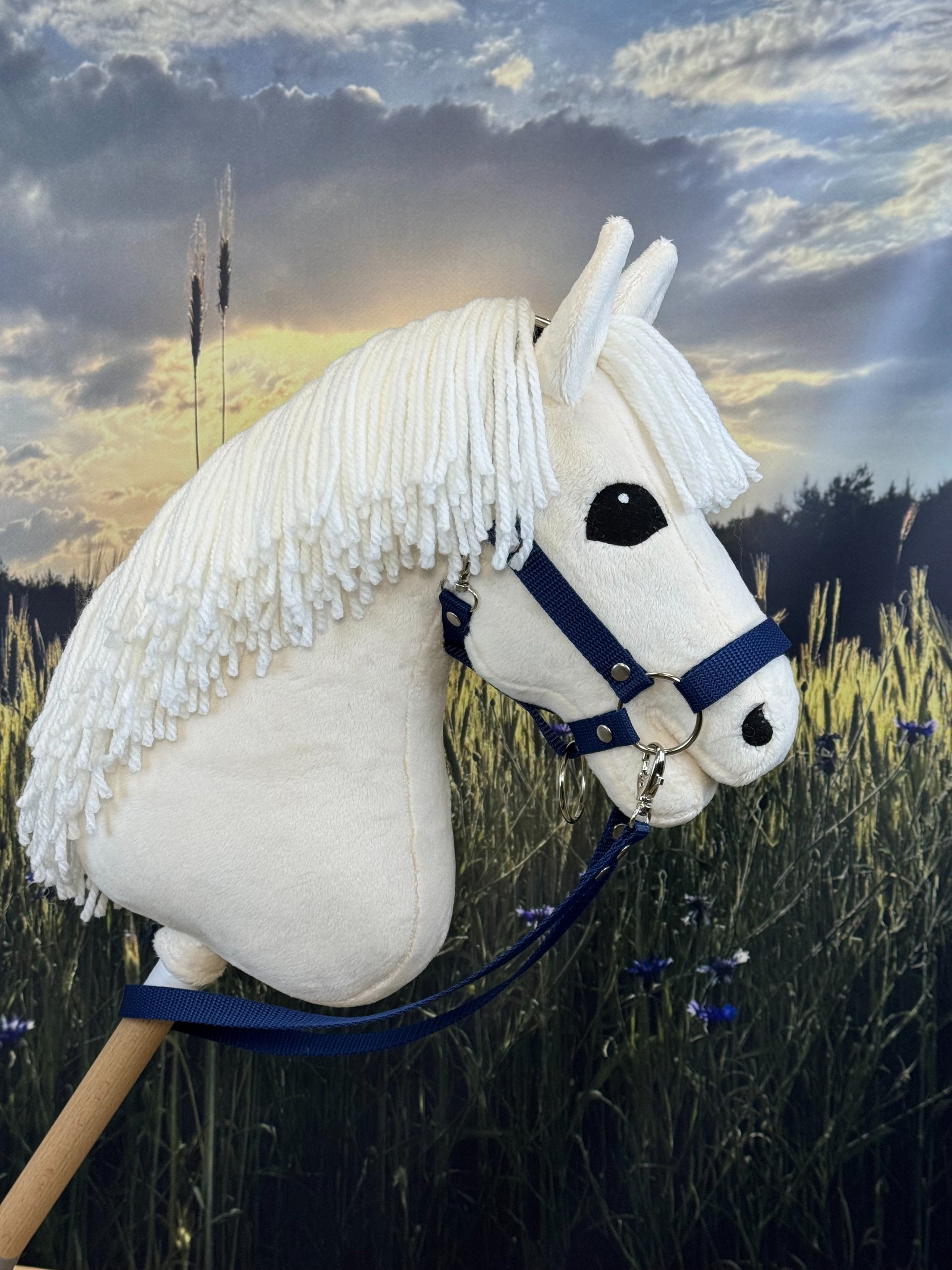 ce6e7d38844d5569e4d2c1e9d5129974