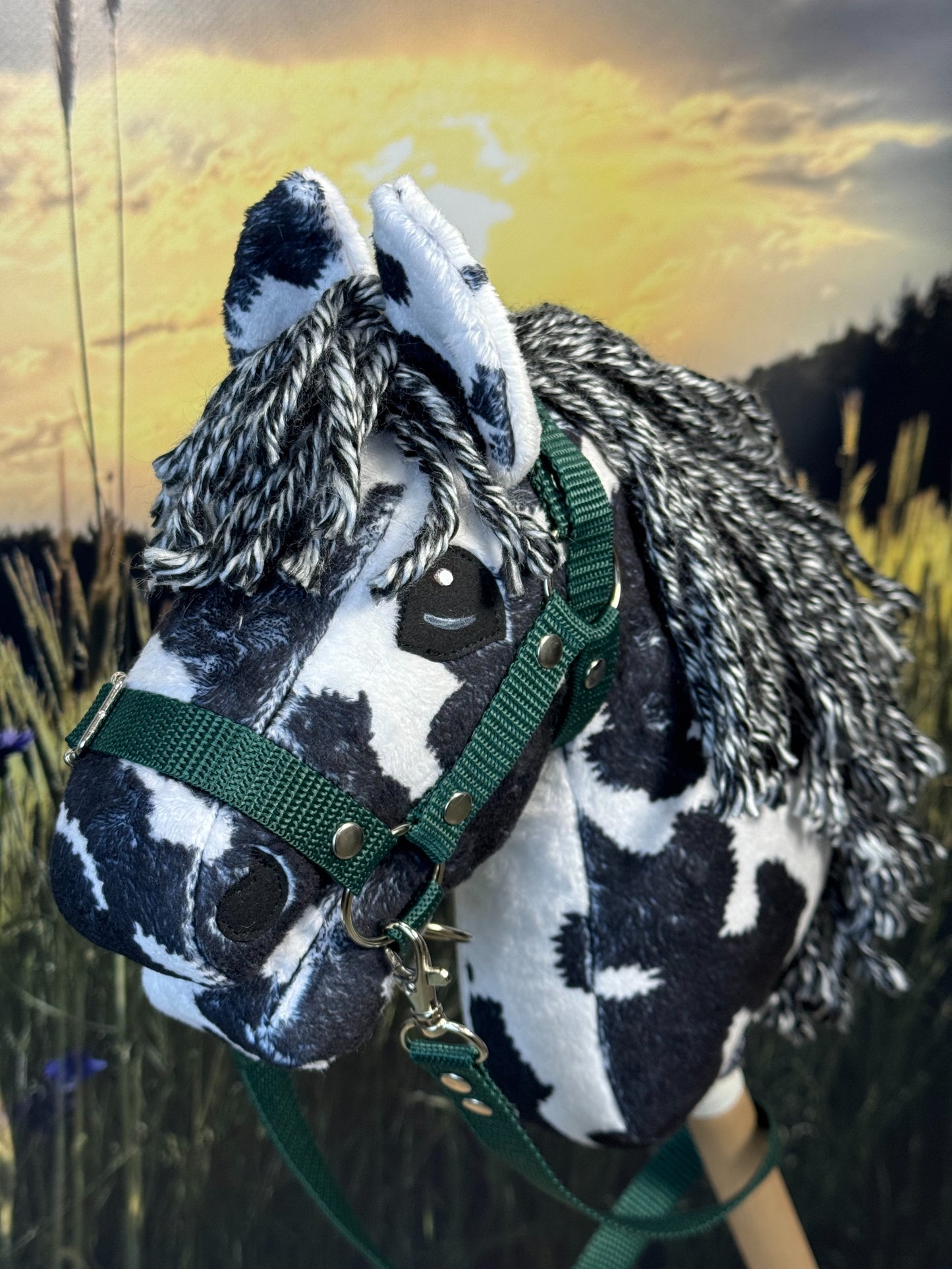 cbacbf14df16d8a1b05442e3ede0b331