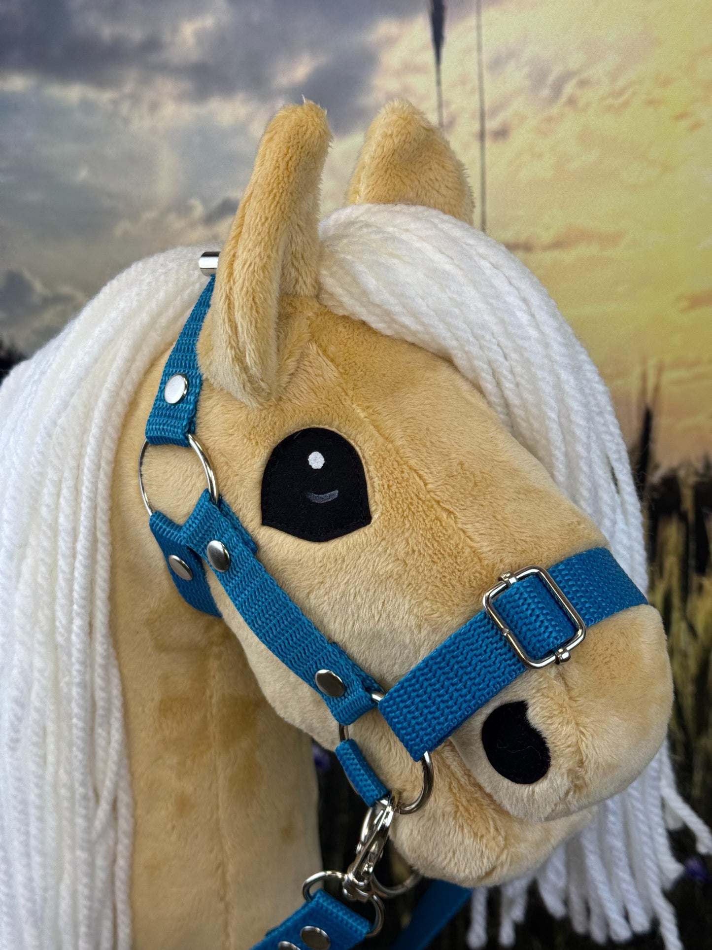 8166f76b3eee90a69fbc41e2695c2697