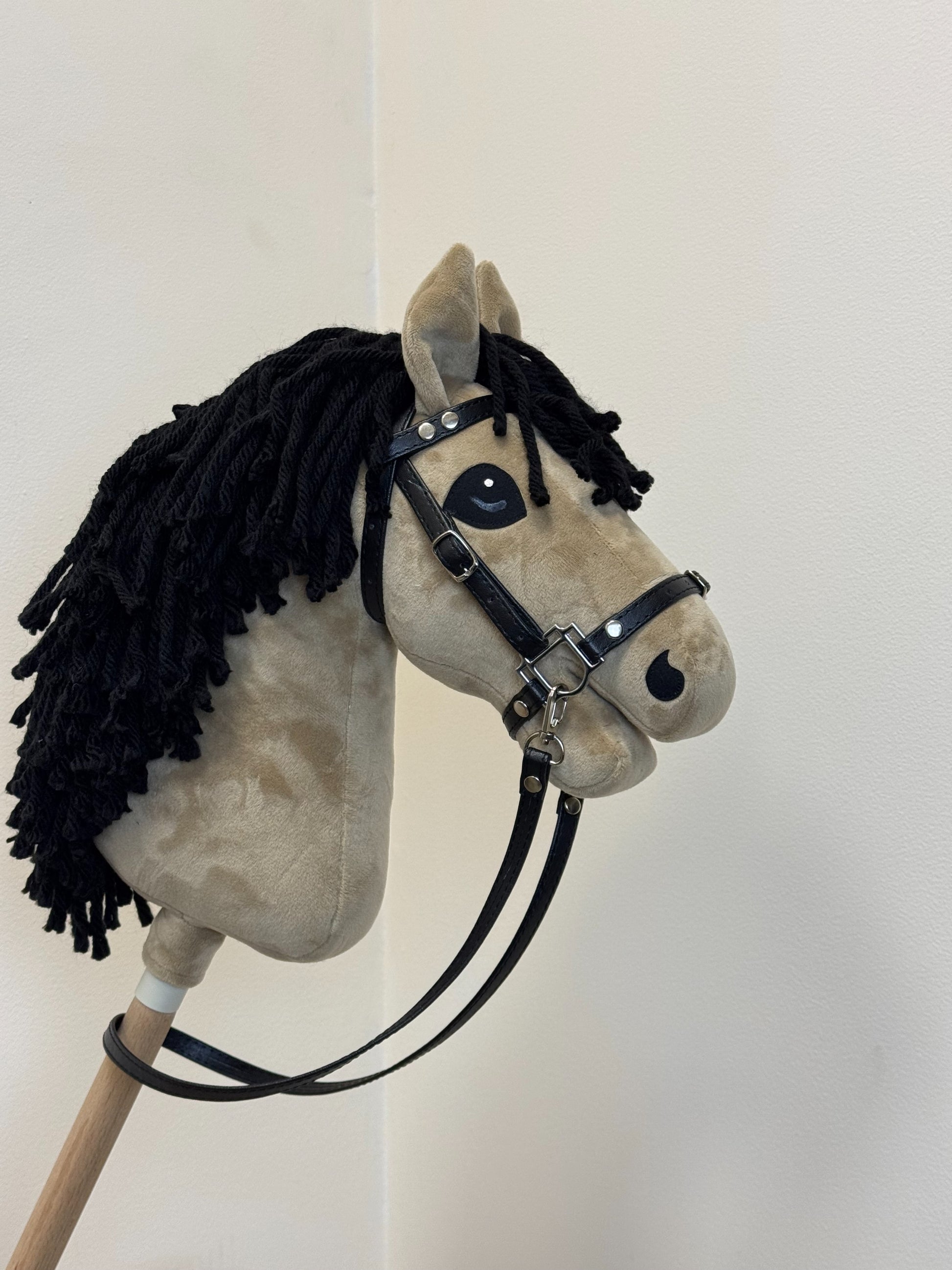 637901f8419815f9167c8739db815849