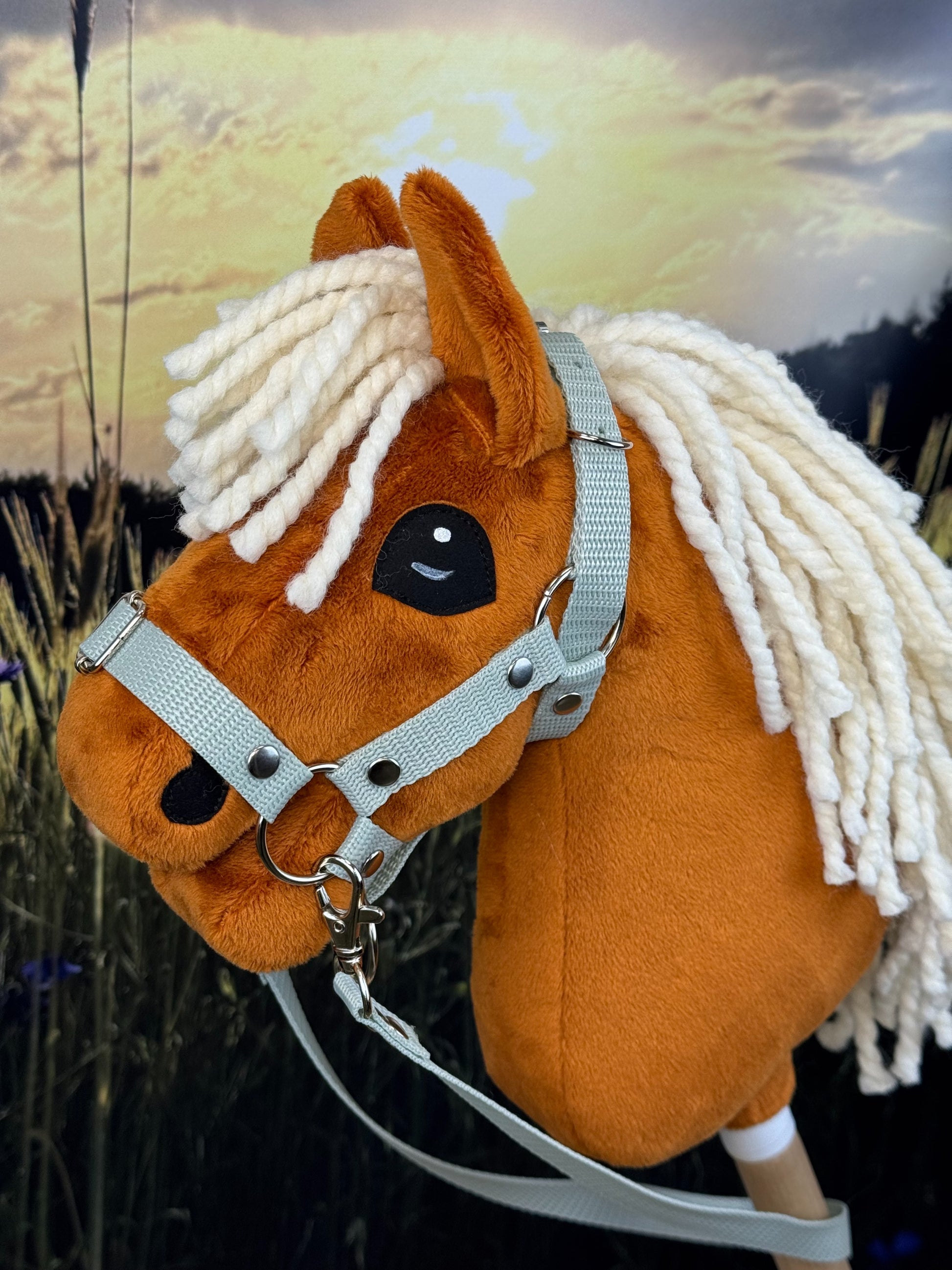 0fabc481c6dd9722e7abbaebcafe96d7