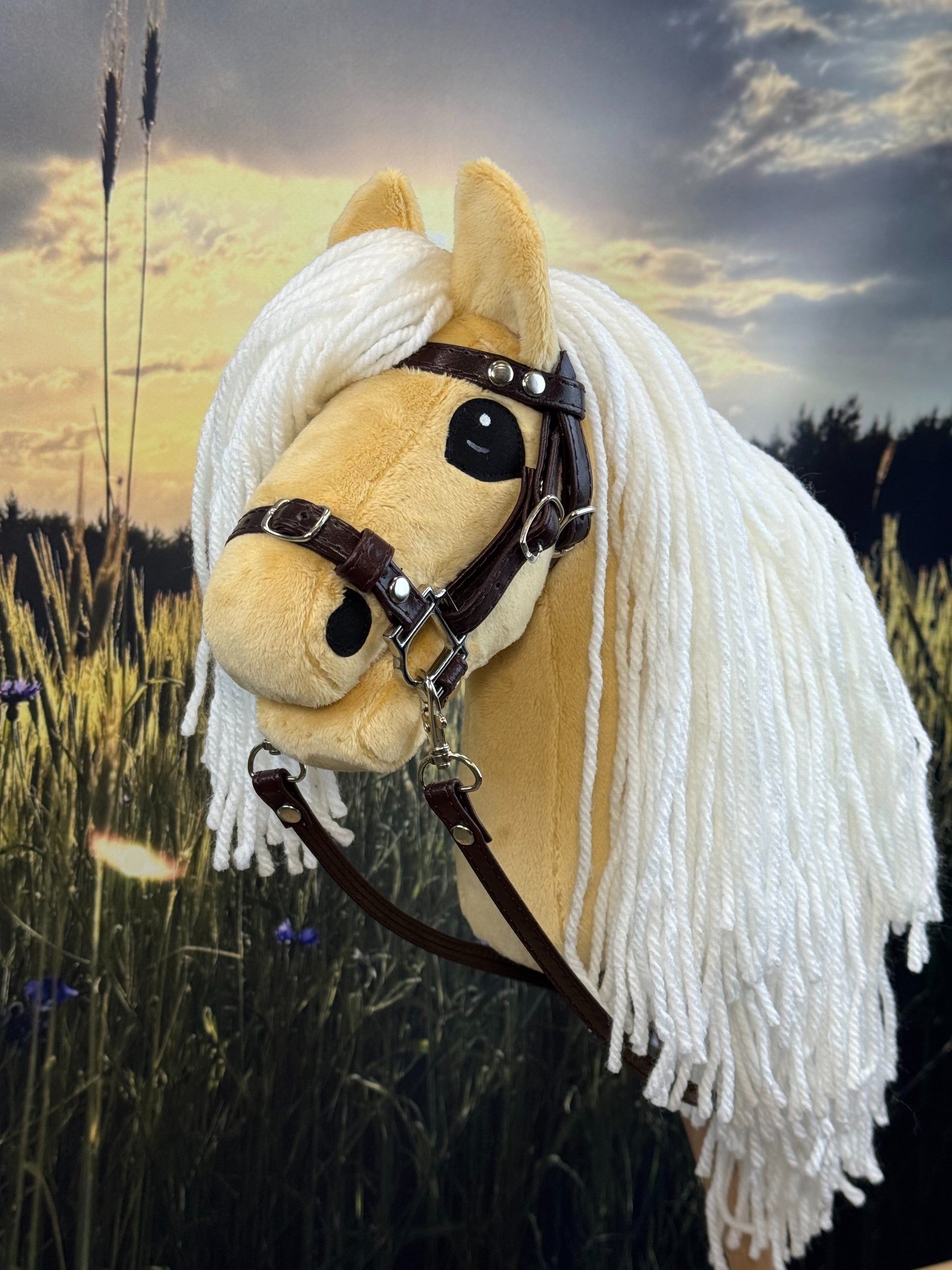 b4319739912854c9eb59e458500586a4