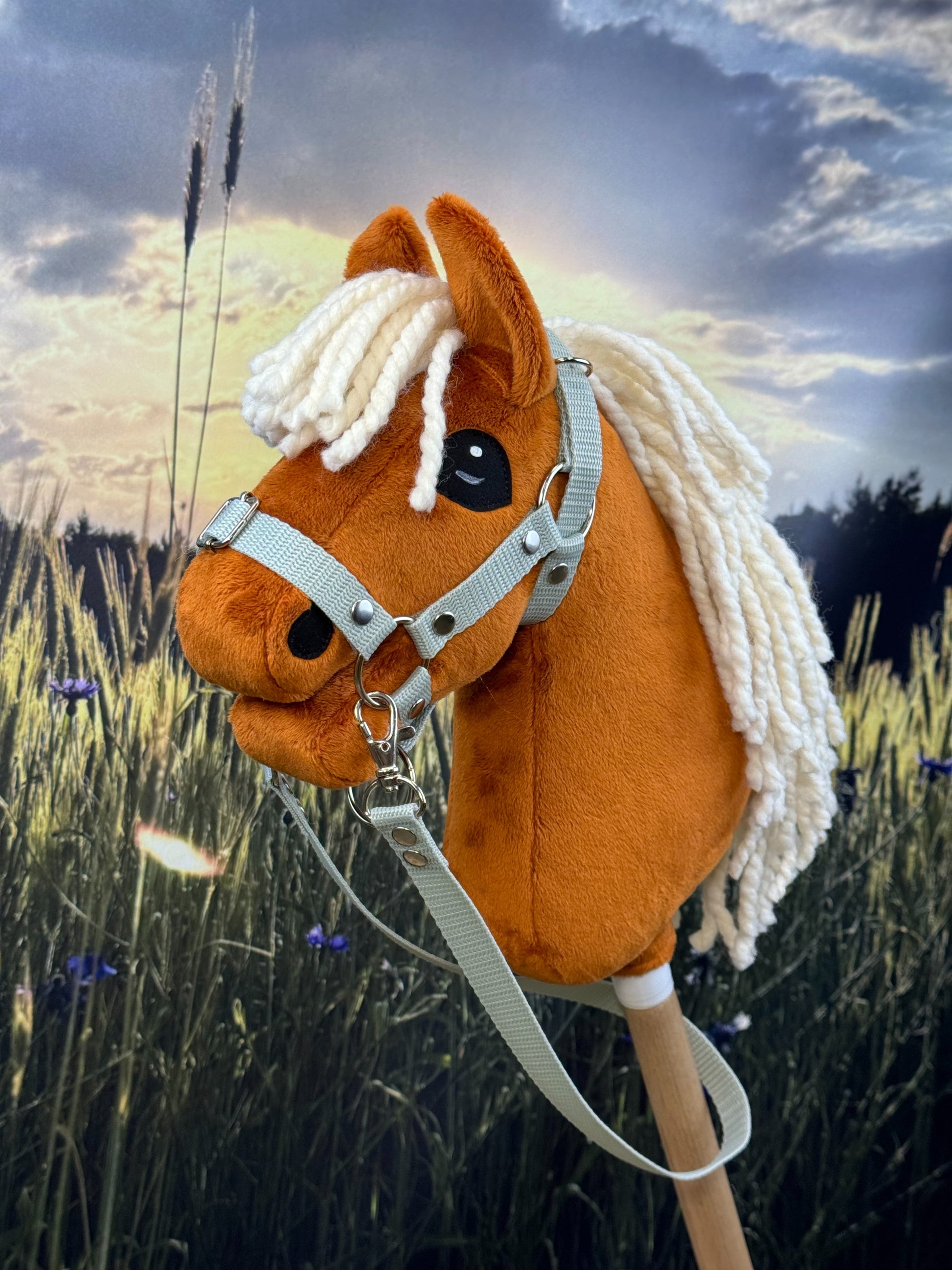 710fe404ff4d21124252a06eca213892