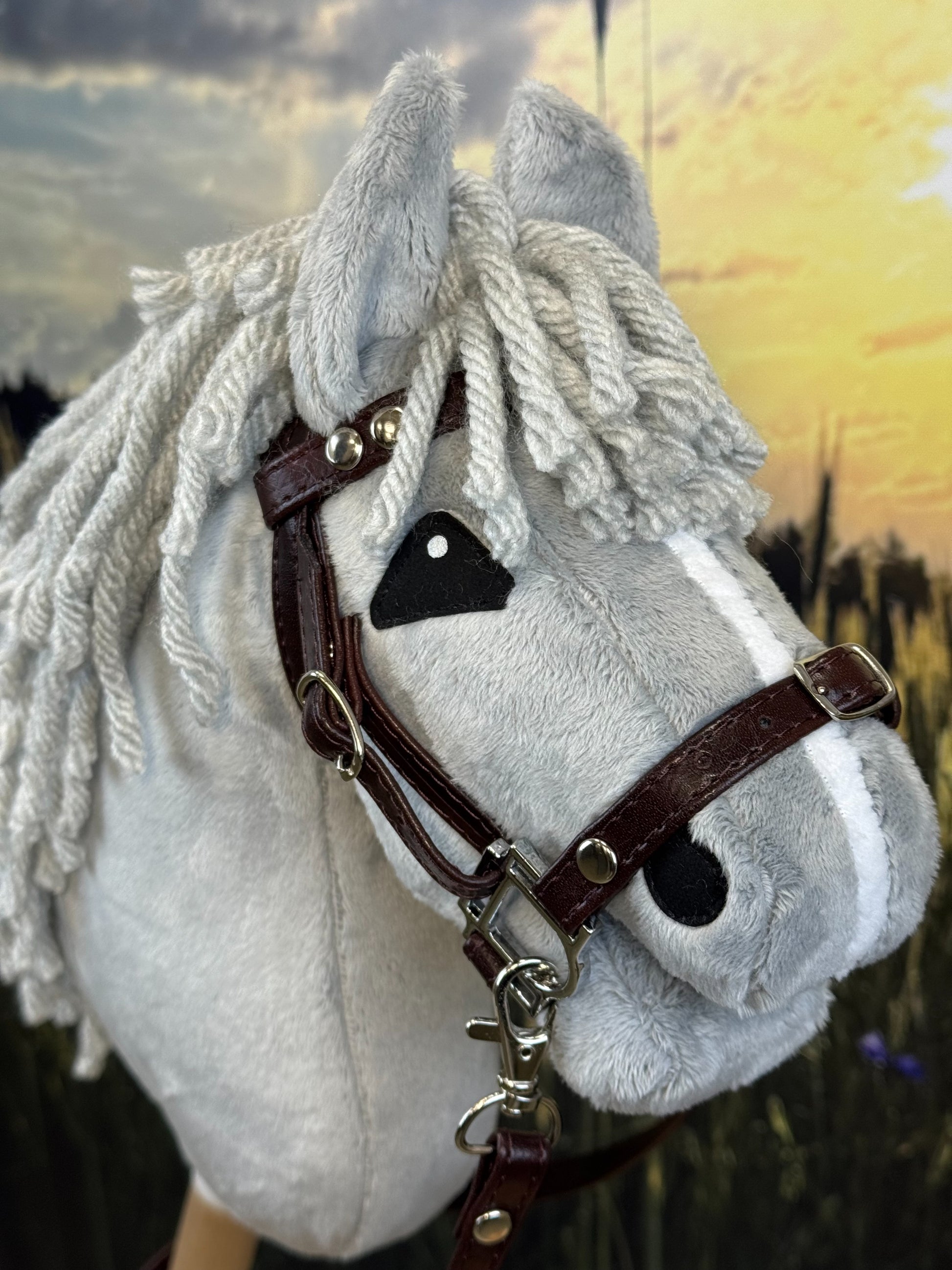 257629eb0312012a59eef0360d9b1f84