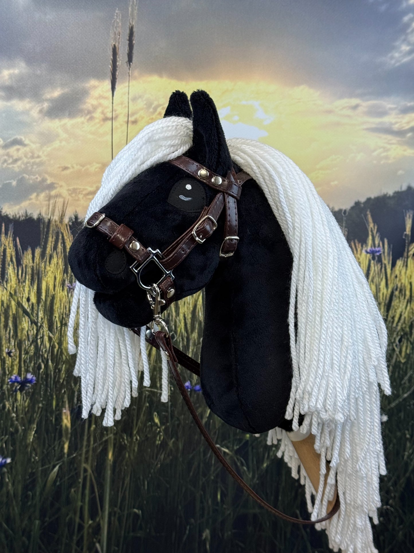 6f6fe0c55e09745502a513bc4fd25723