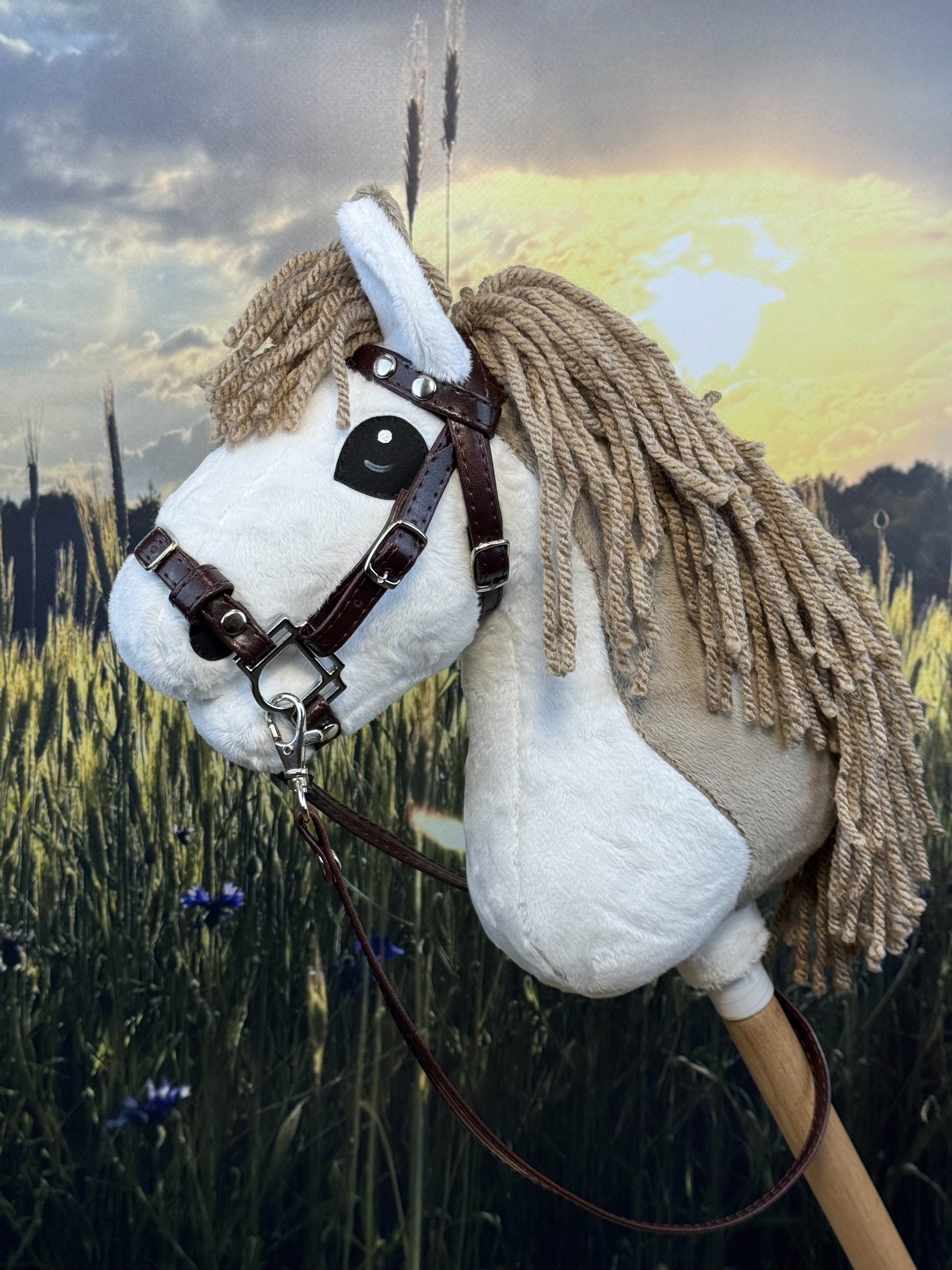 f0f5d0643a5e752e88bbf2495fa8f55b